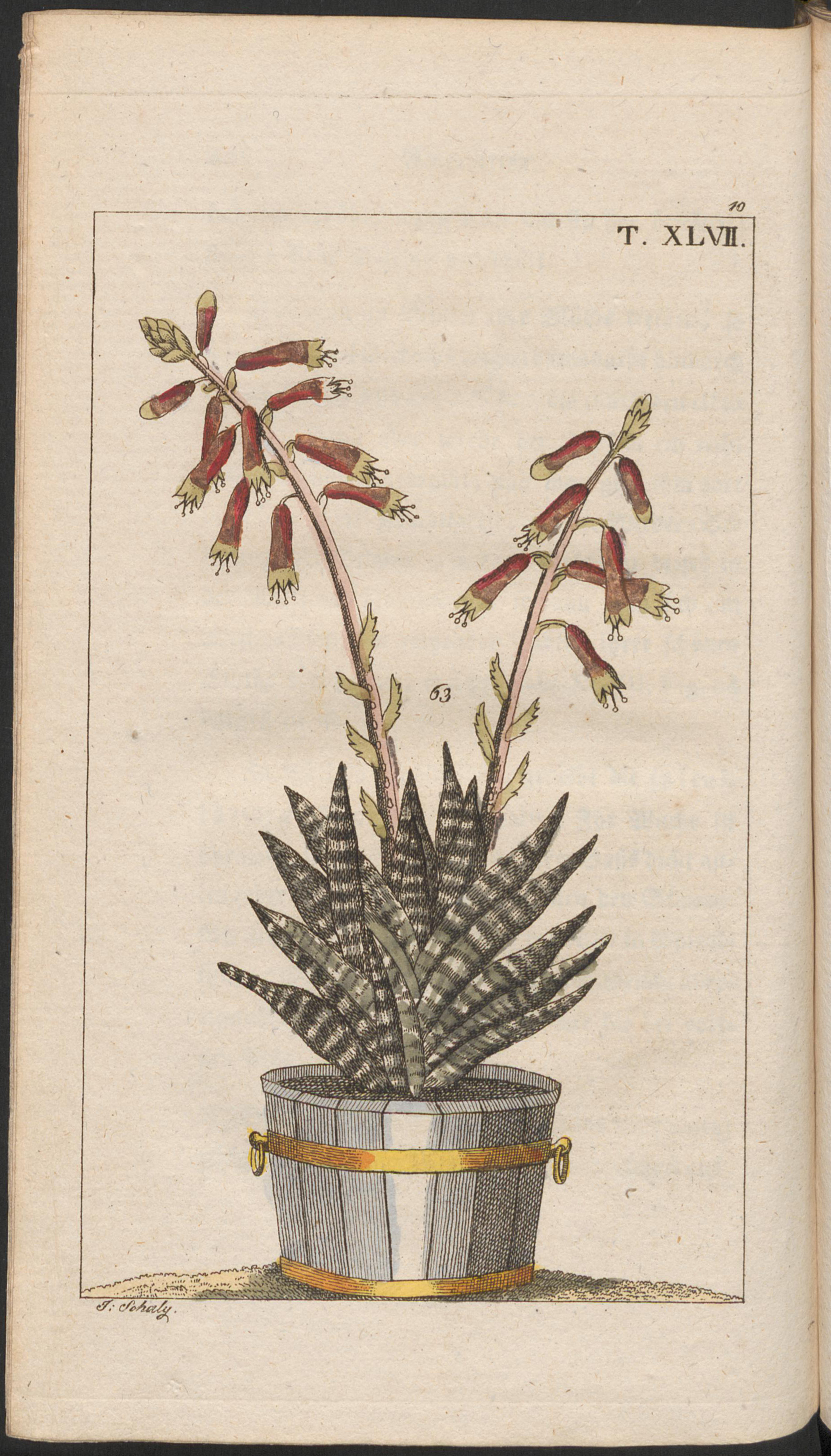 no full size  illustration available (3a)