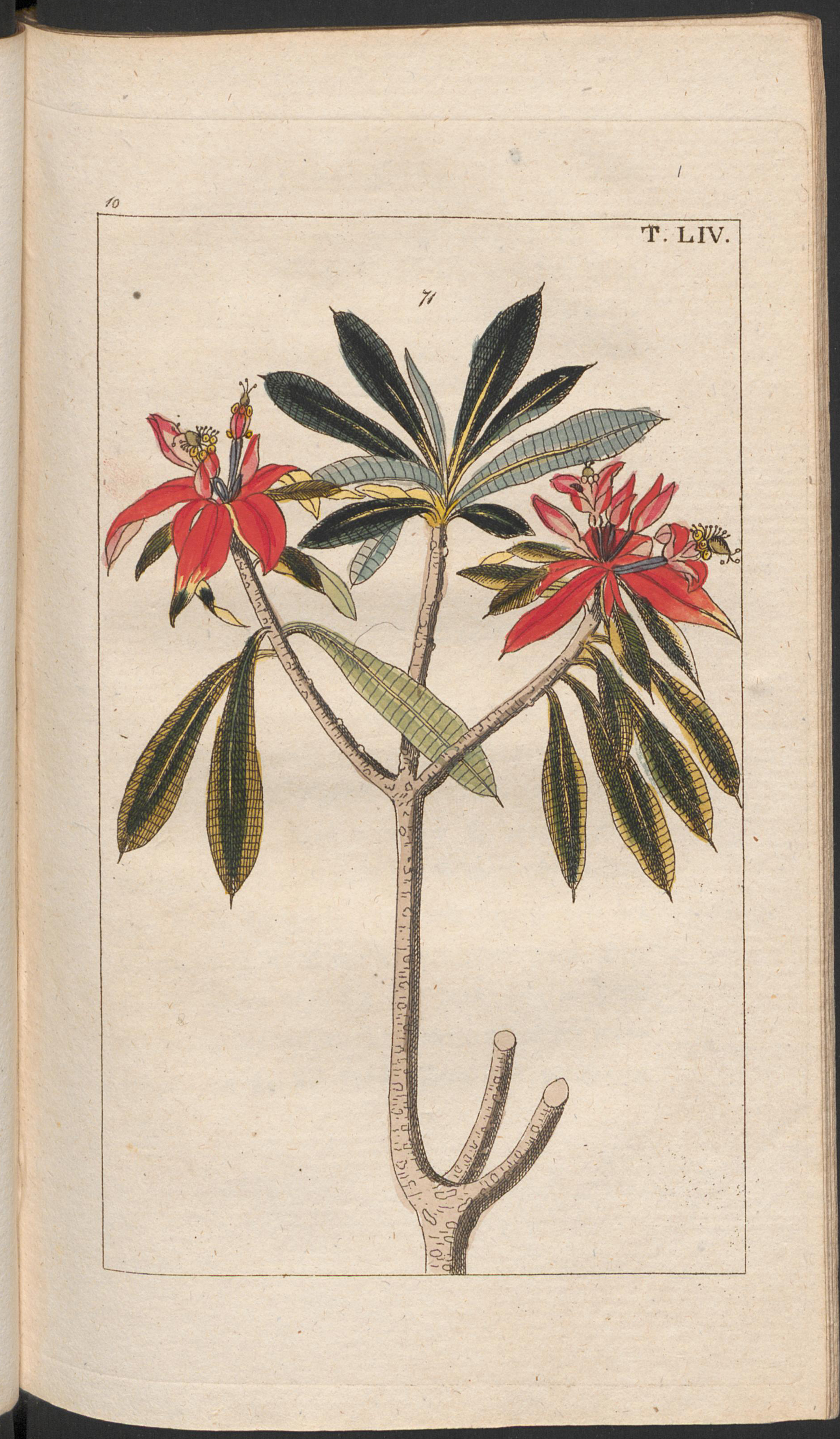 no full size  illustration available (3a)