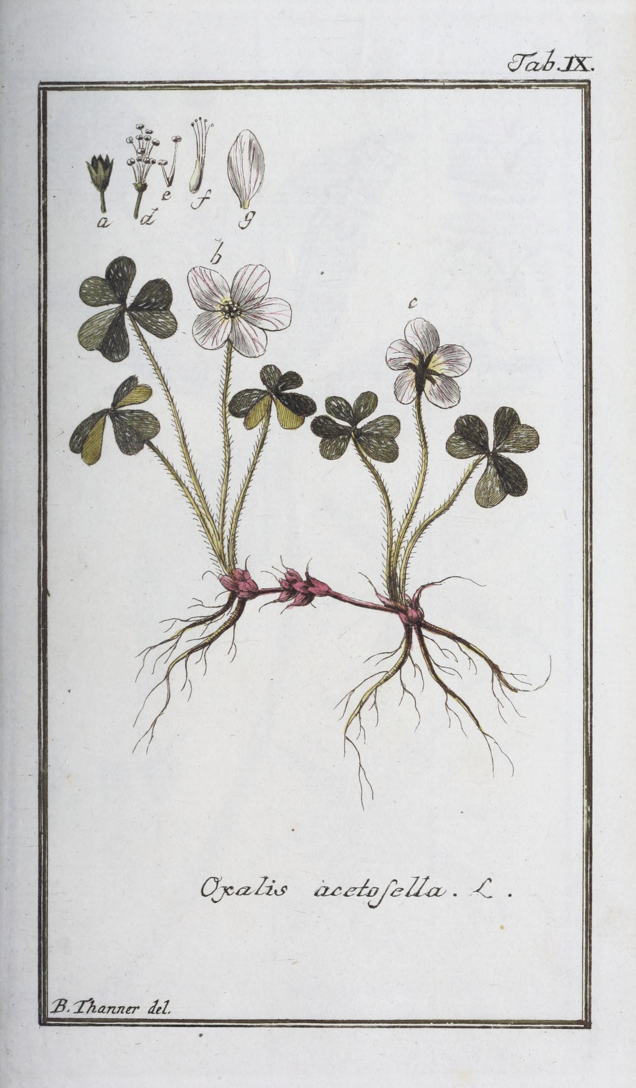 no full size  illustration available (3a)