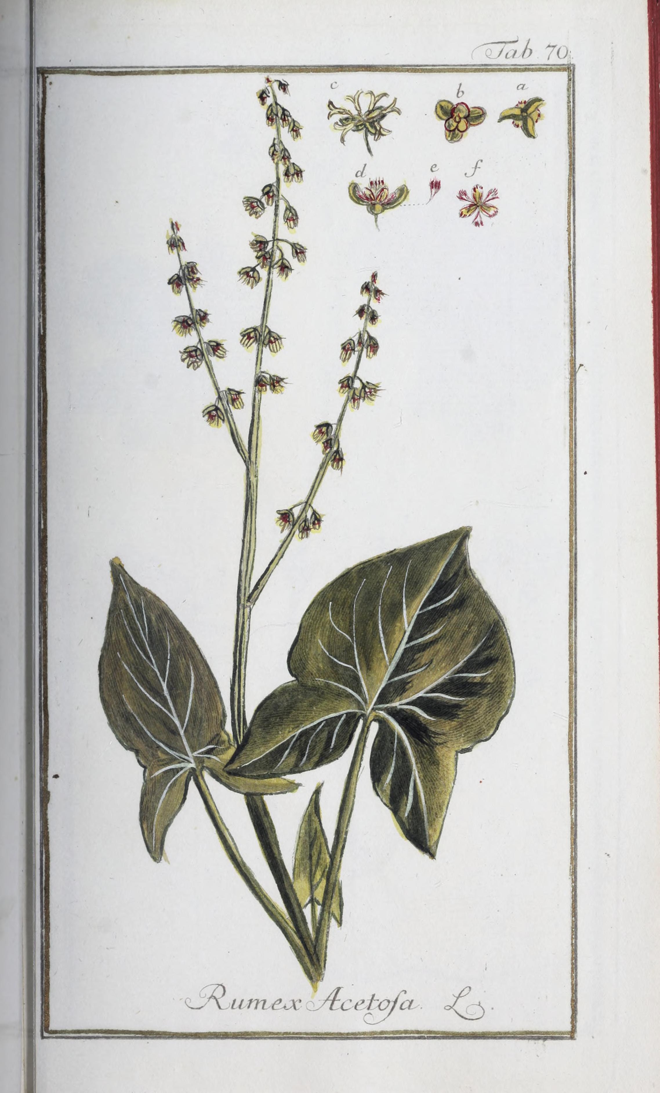 no full size  illustration available (3a)