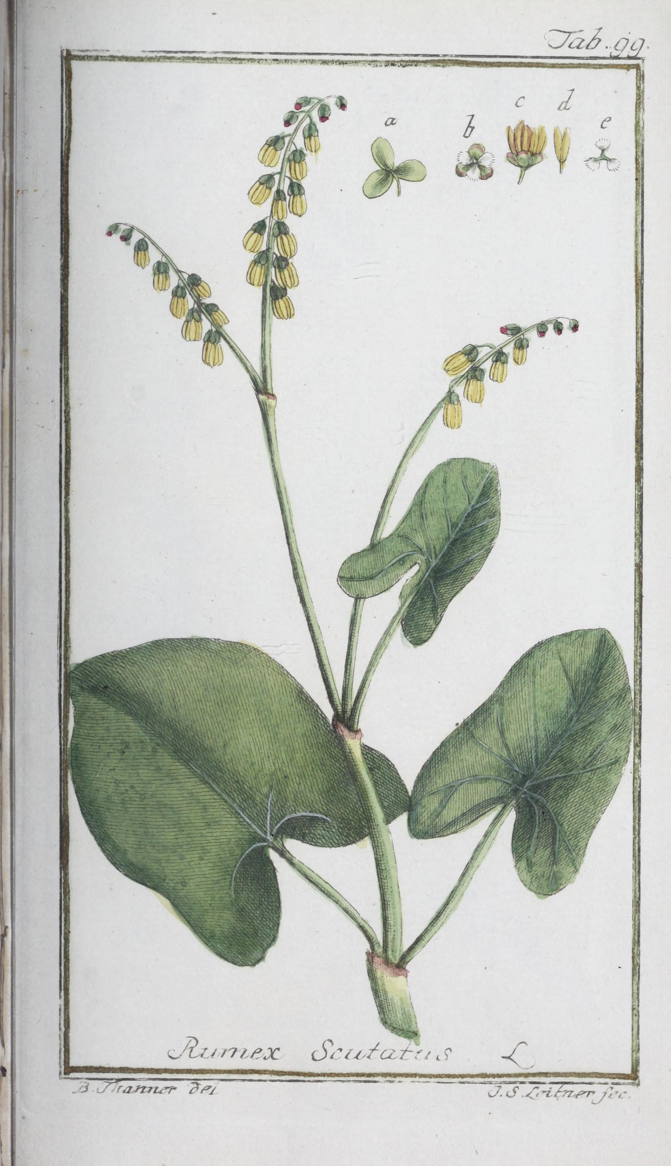 no full size  illustration available (3a)