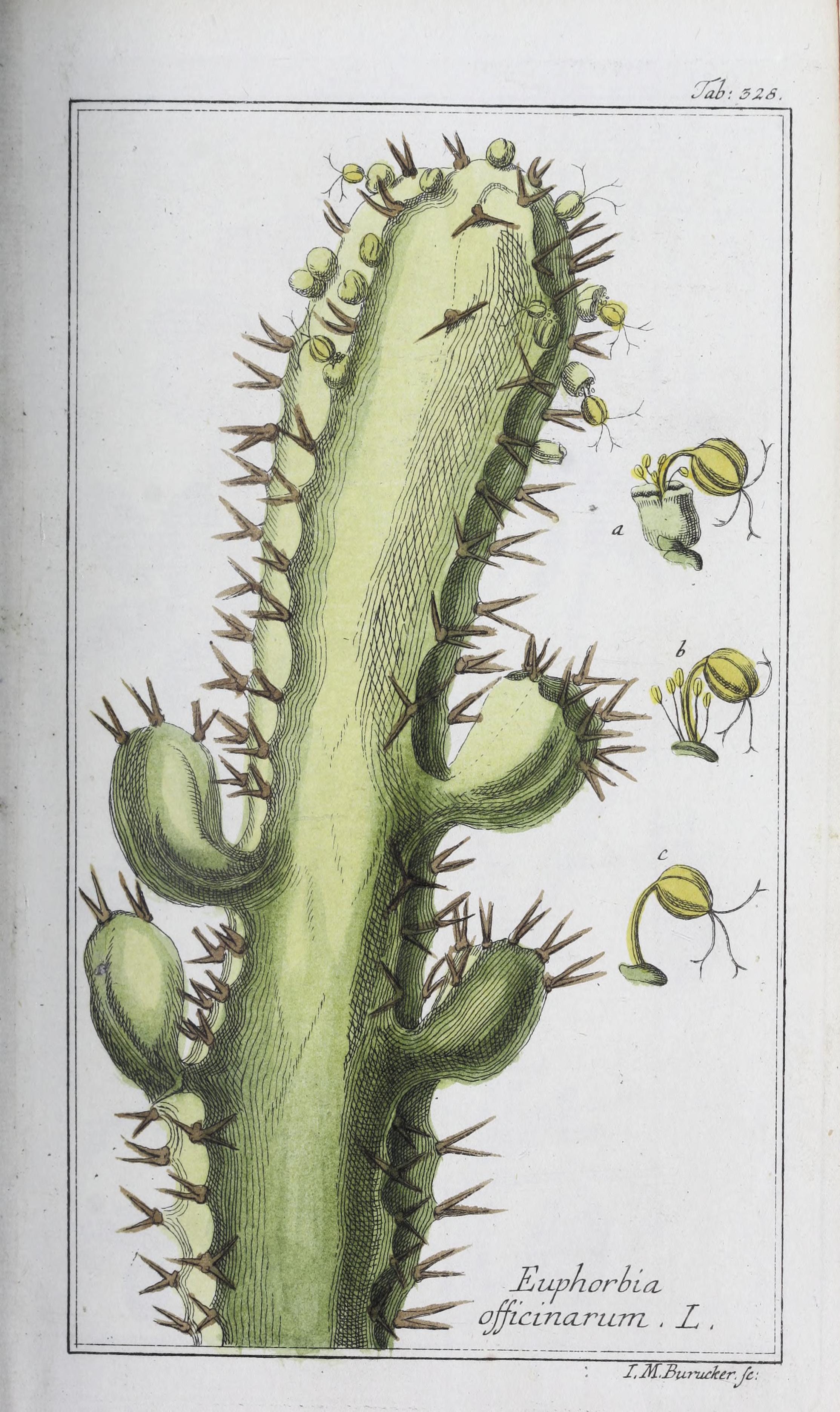 no full size  illustration available (3a)