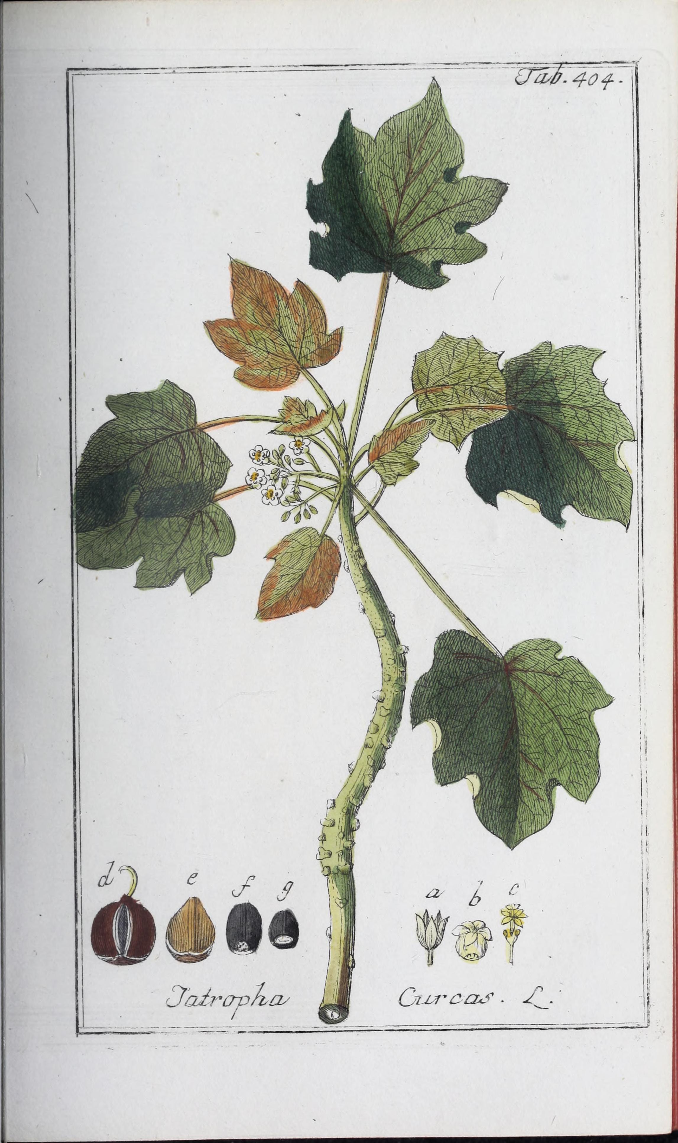 no full size  illustration available (3a)