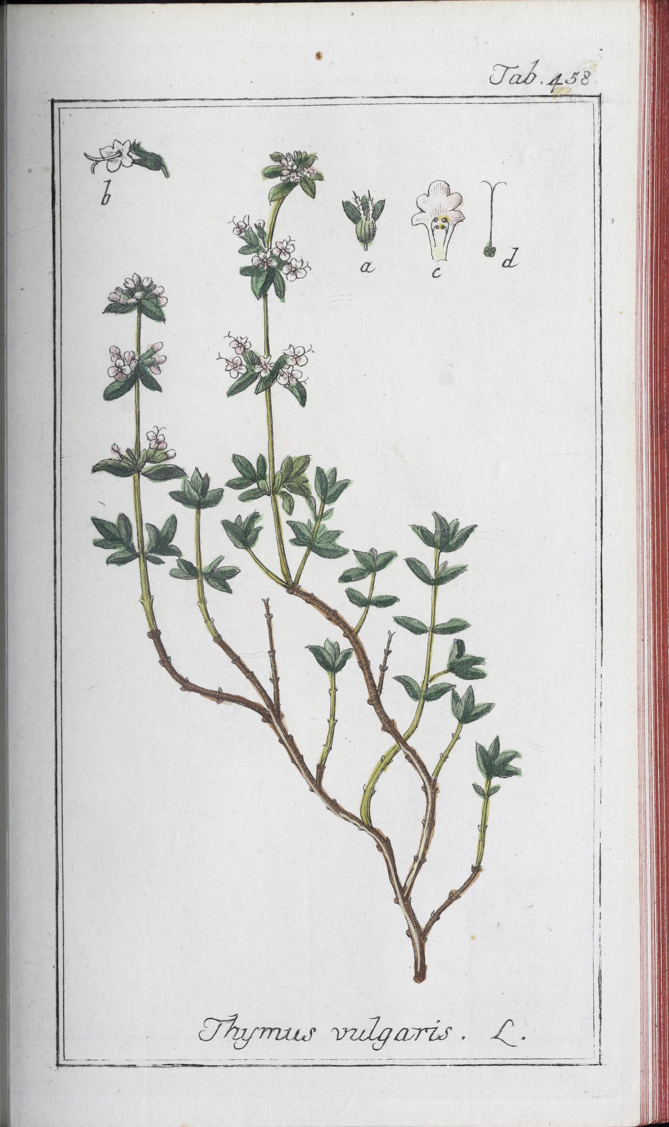 no full size  illustration available (3a)