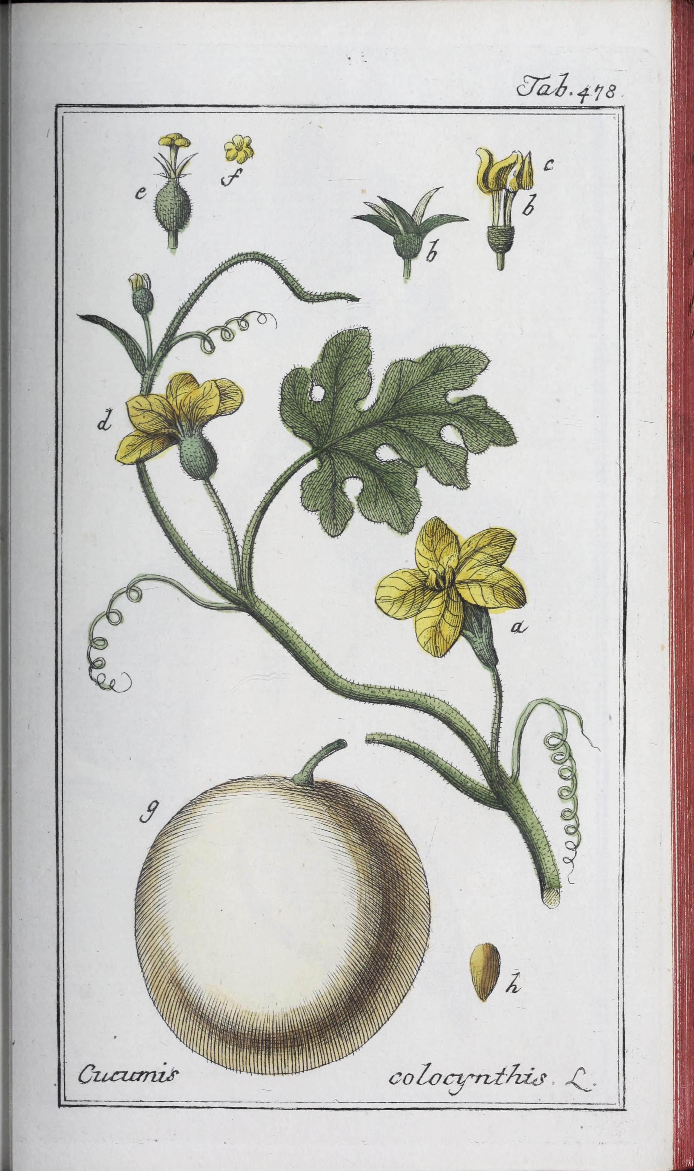 no full size  illustration available (3a)