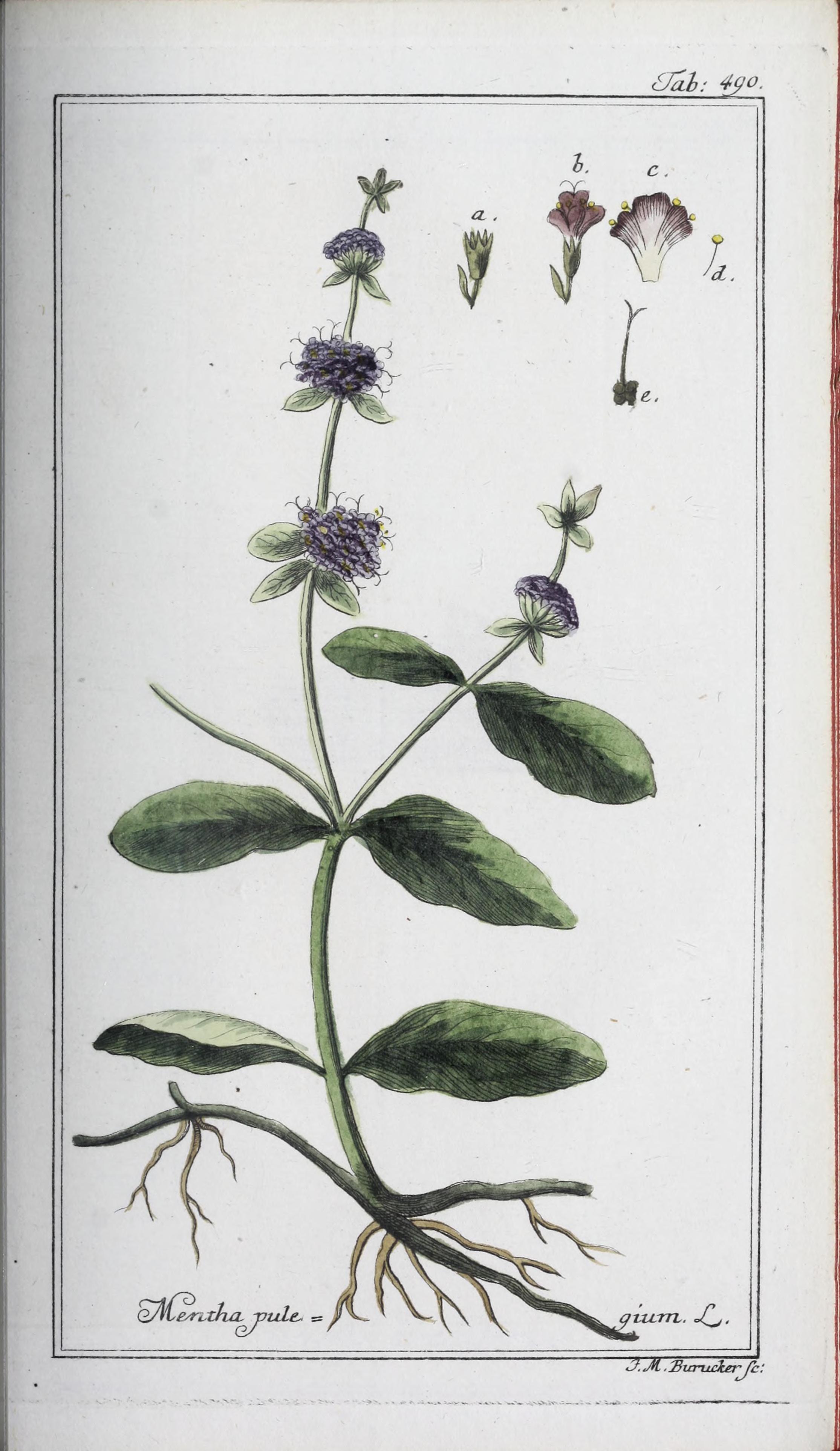 no full size  illustration available (3a)