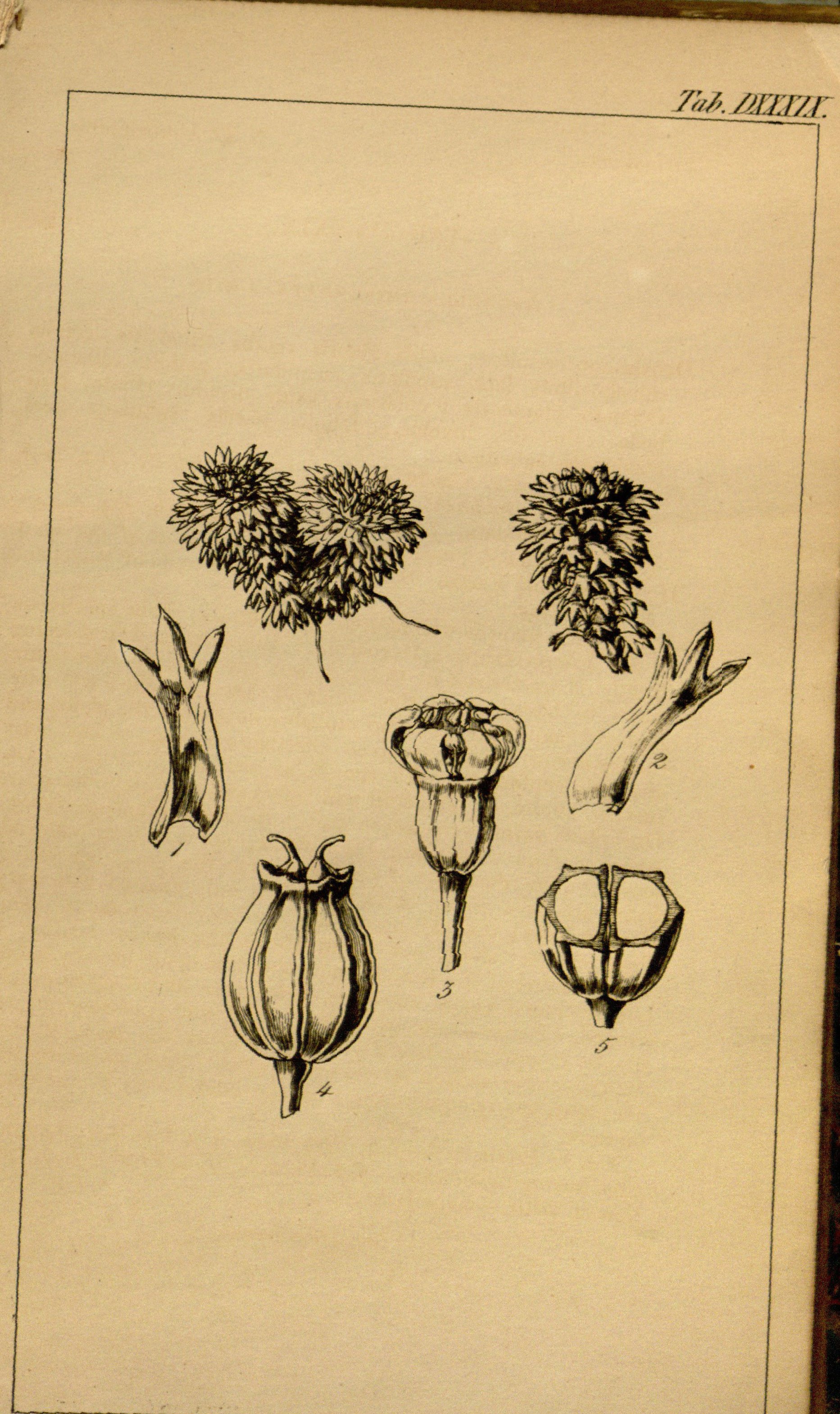 no full size  illustration available (3a)