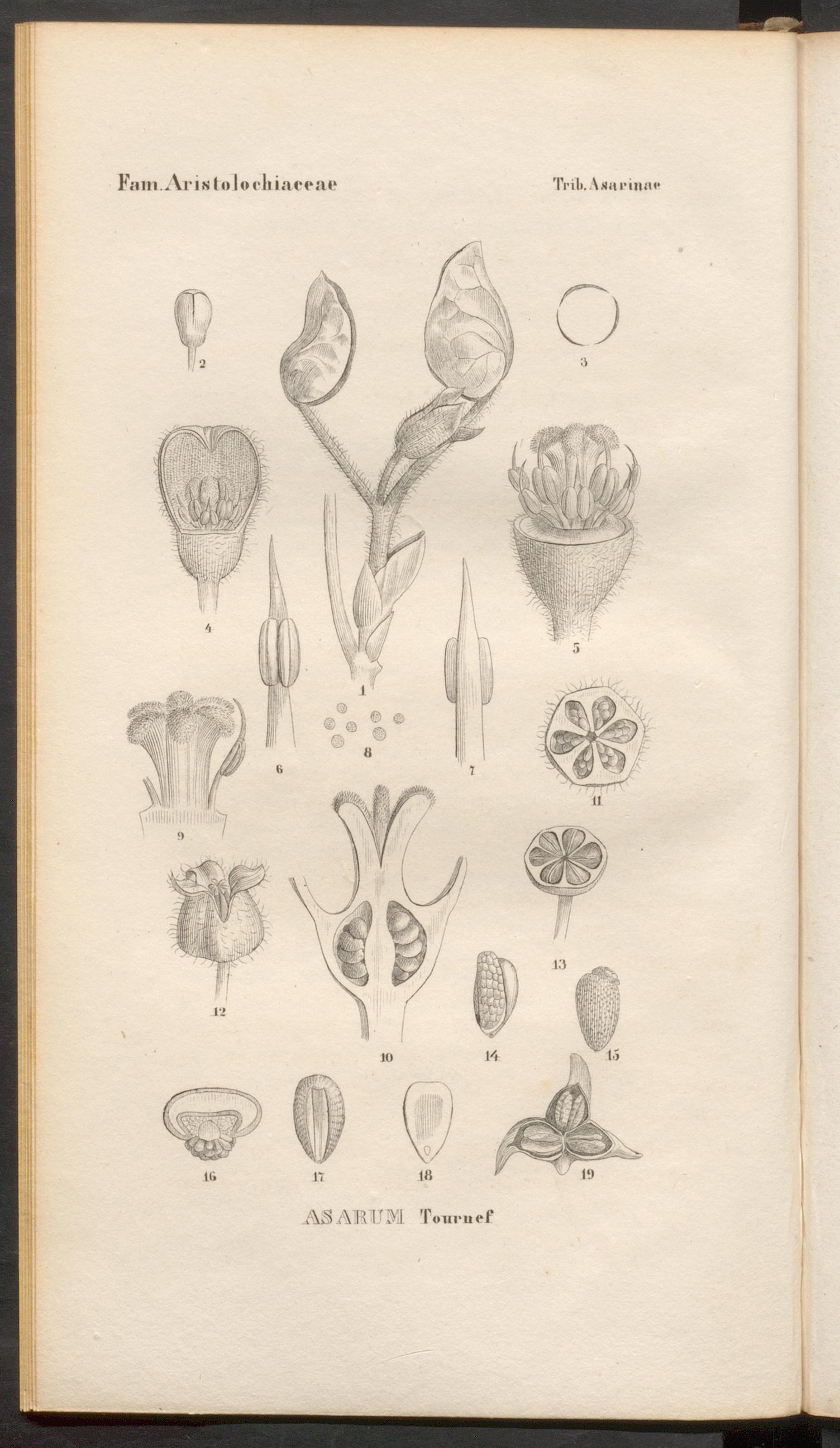 no full size  illustration available (3a)