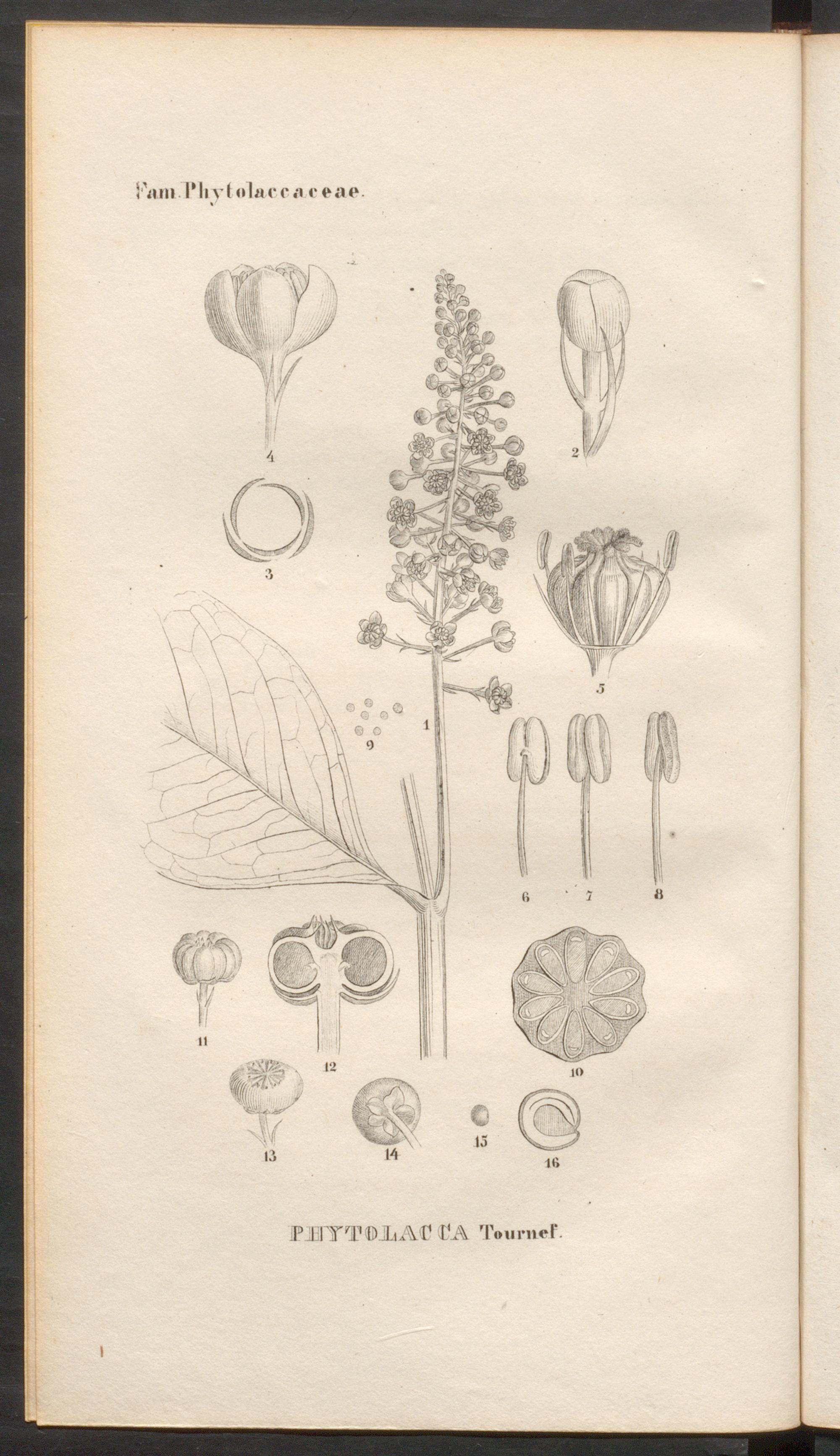 no full size  illustration available (3a)