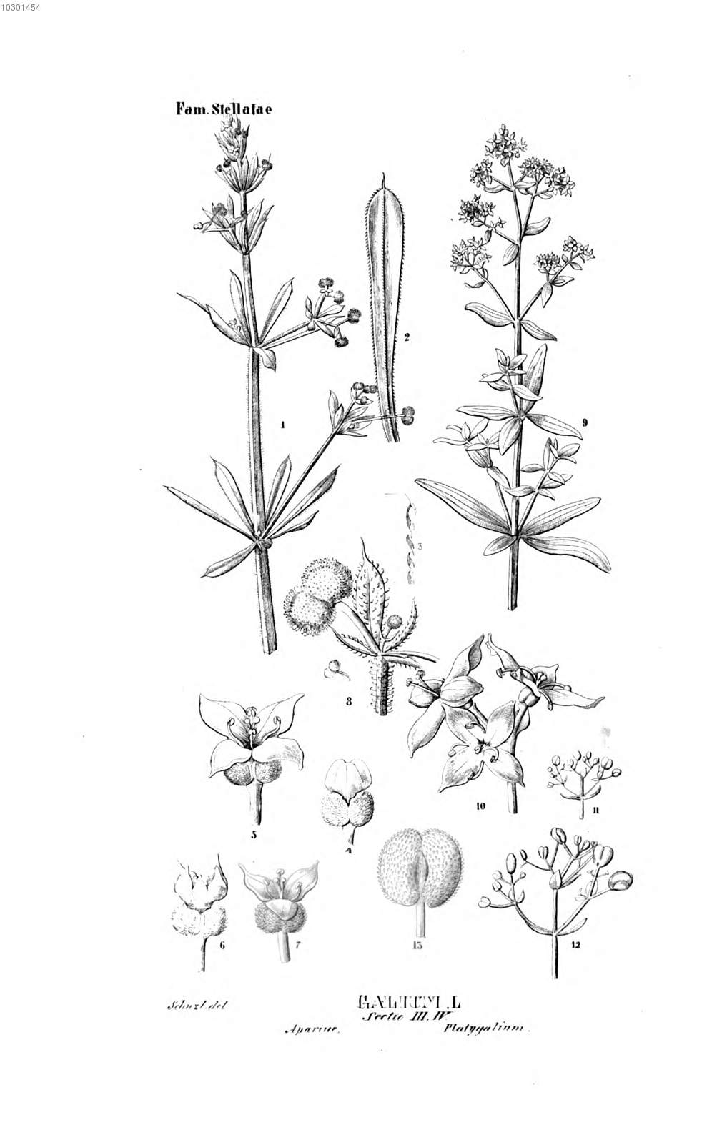 no full size  illustration available (3a)