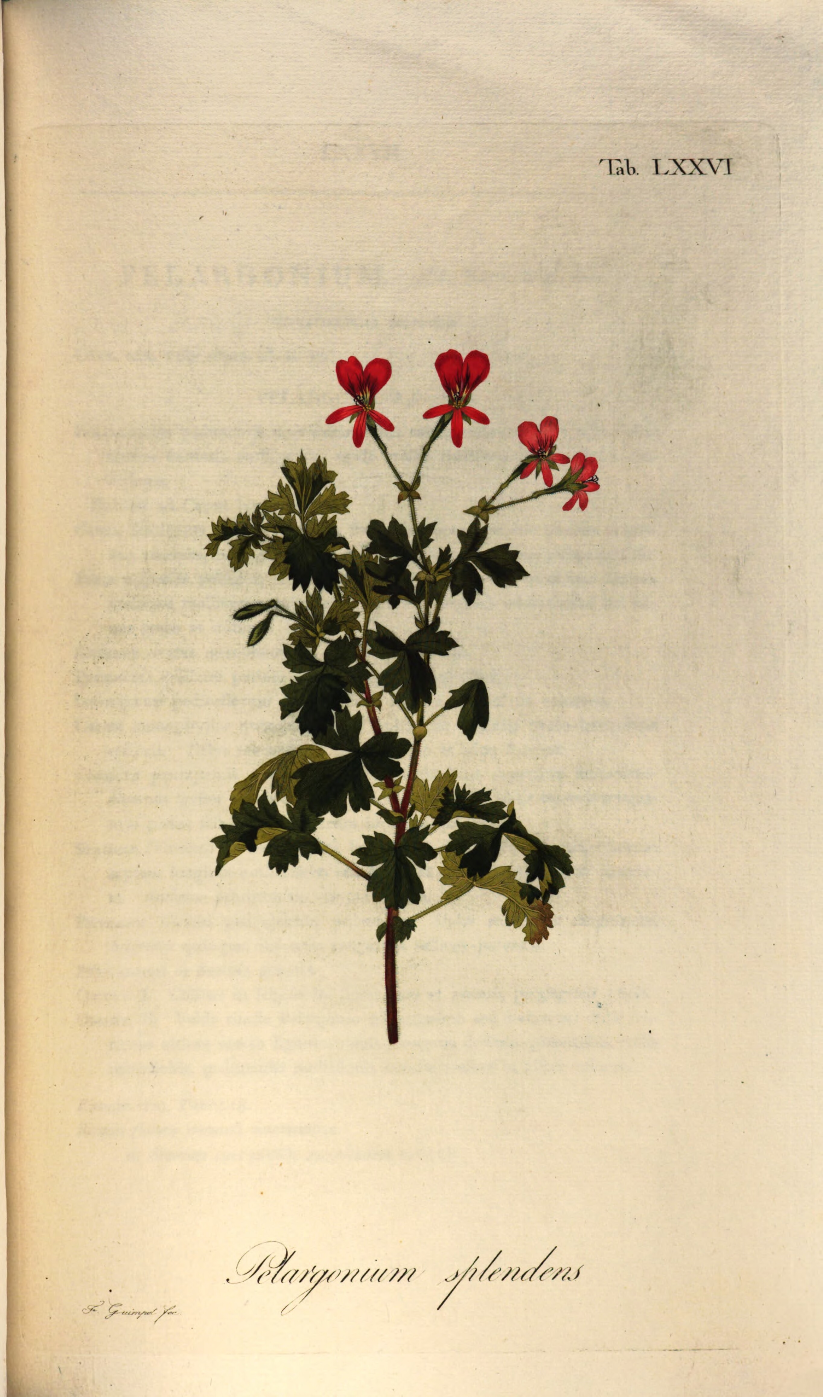 no full size  illustration available (3a)