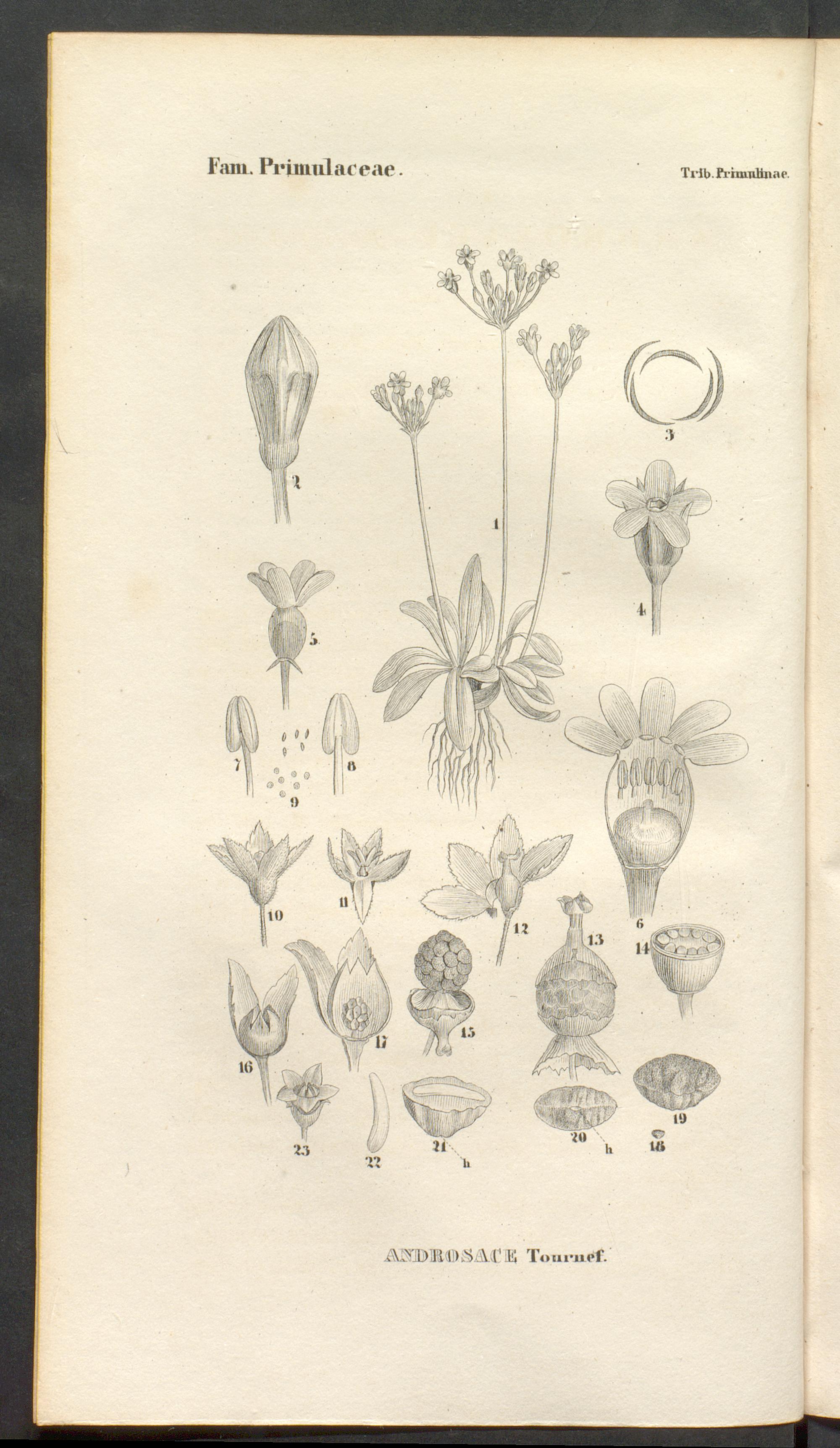 no full size  illustration available (3a)