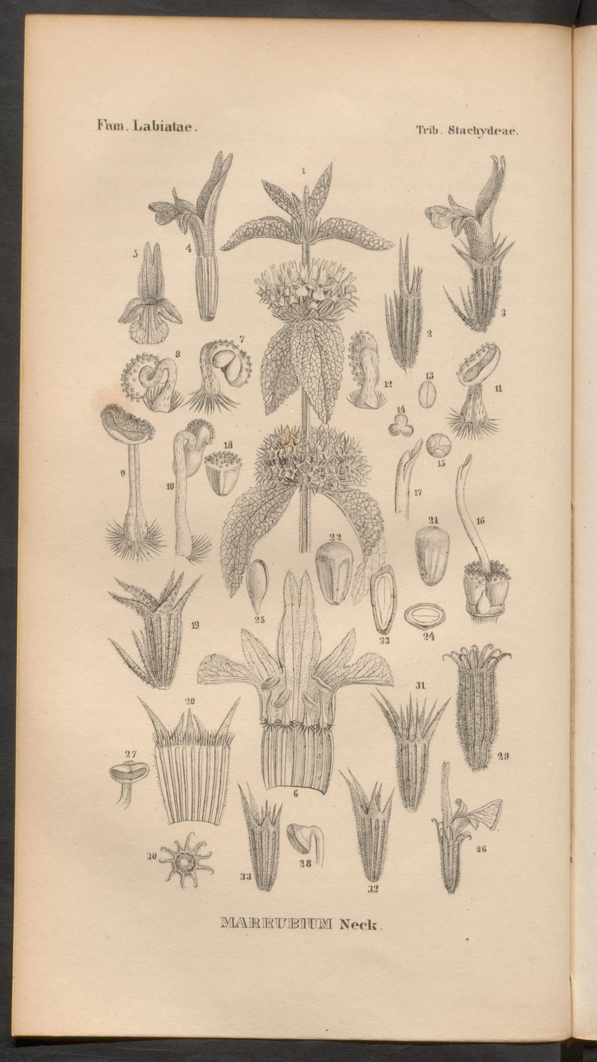 no full size  illustration available (3a)