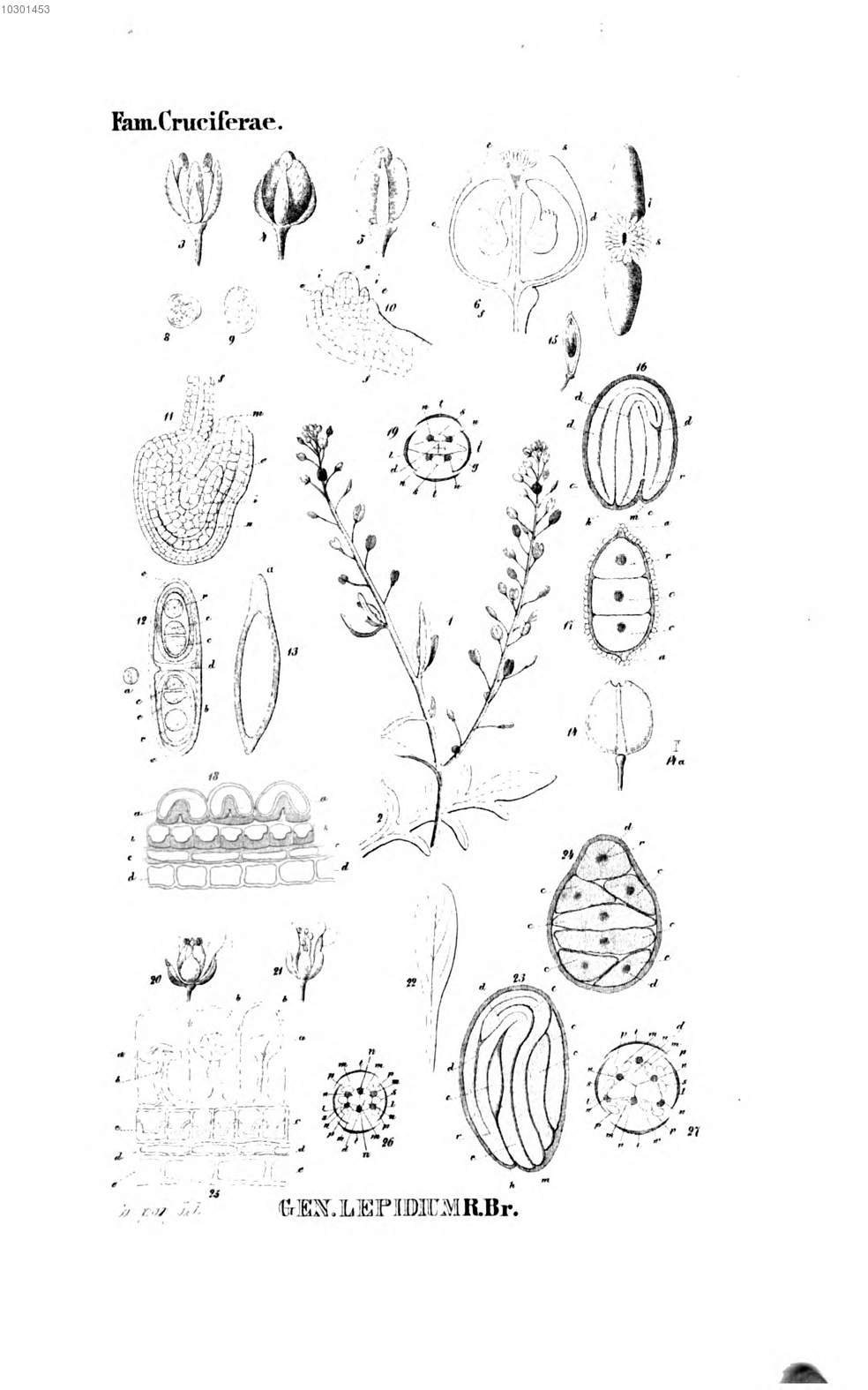 no full size  illustration available (3a)