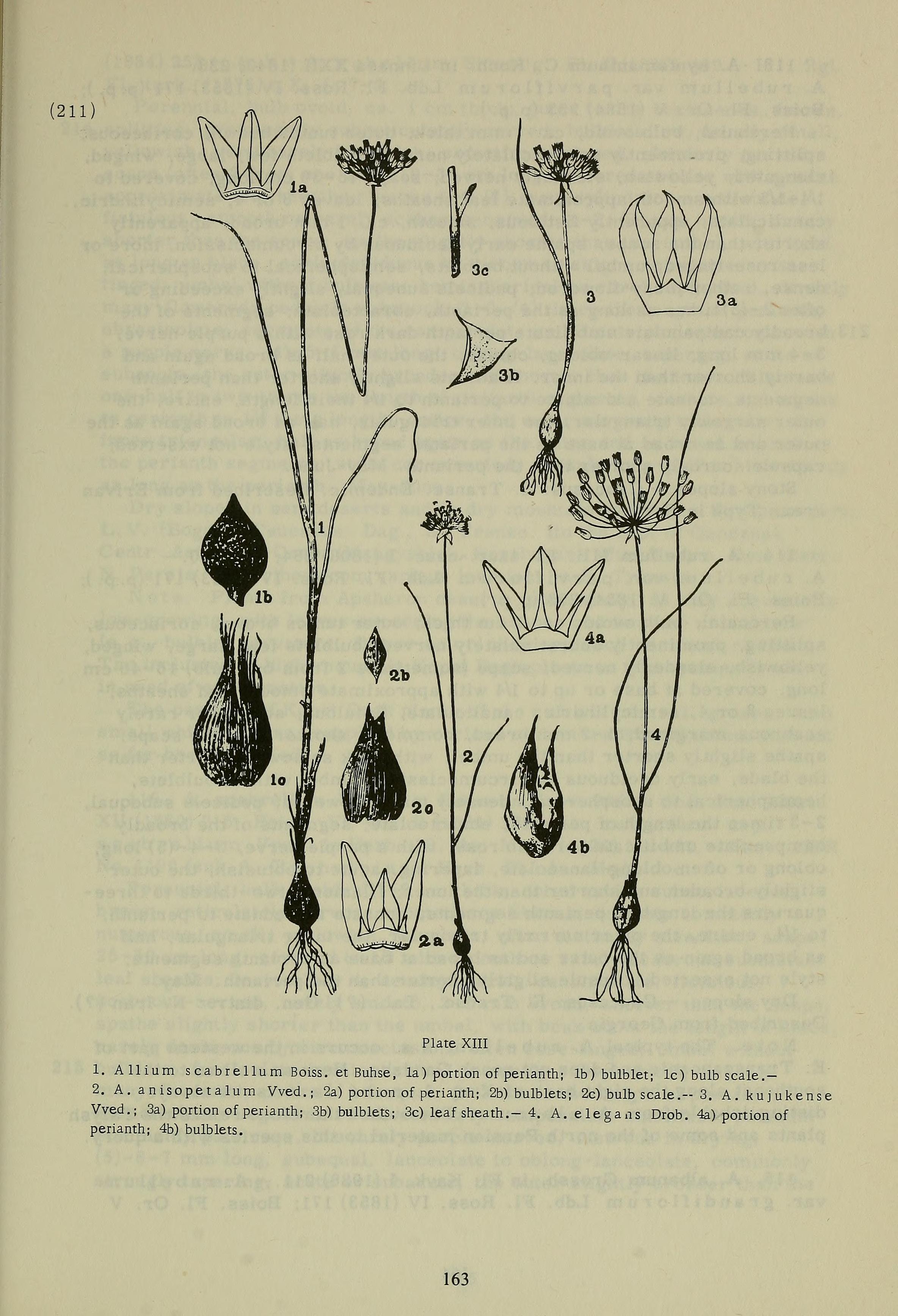 no full size  illustration available (3a)