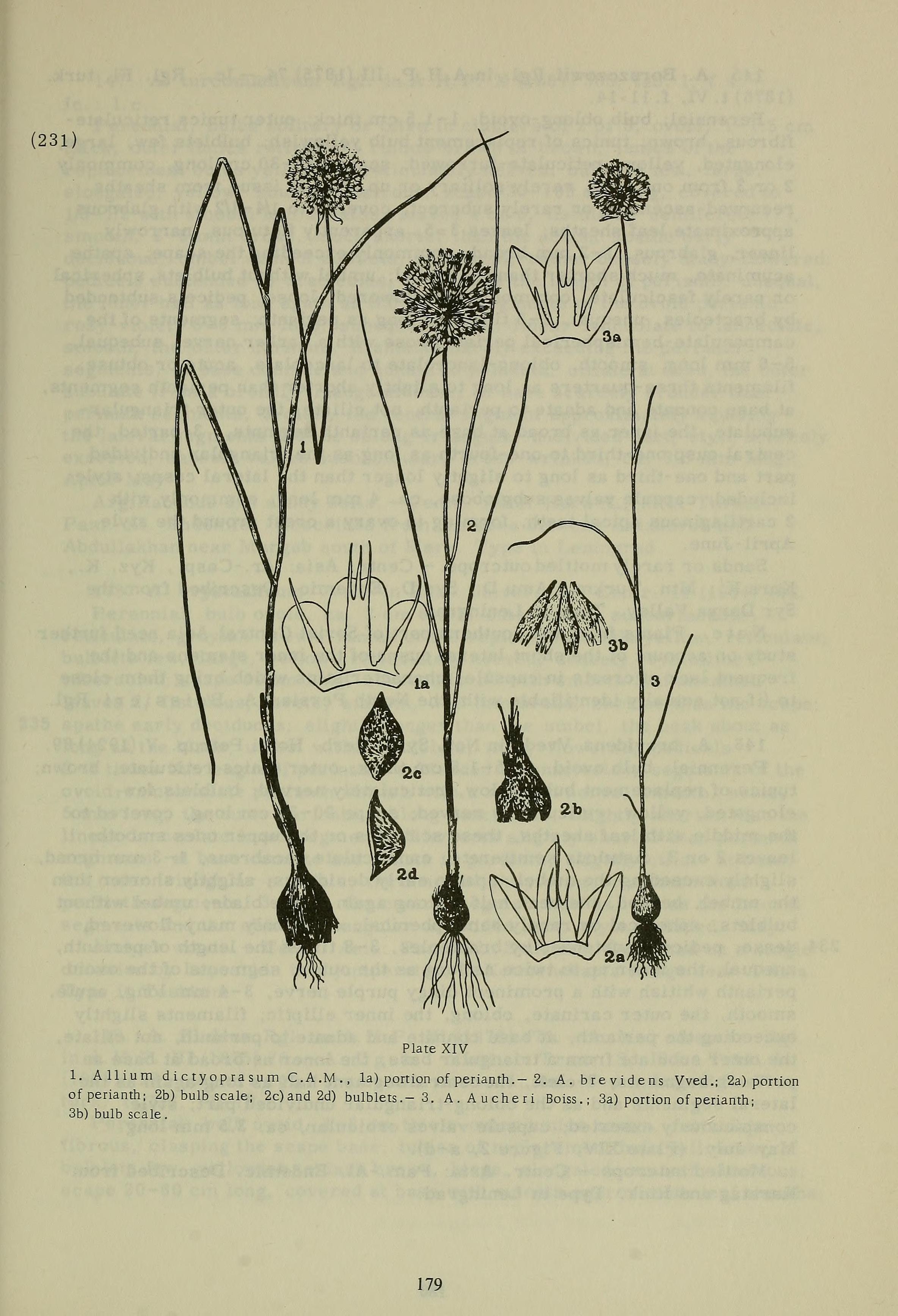 no full size  illustration available (3a)