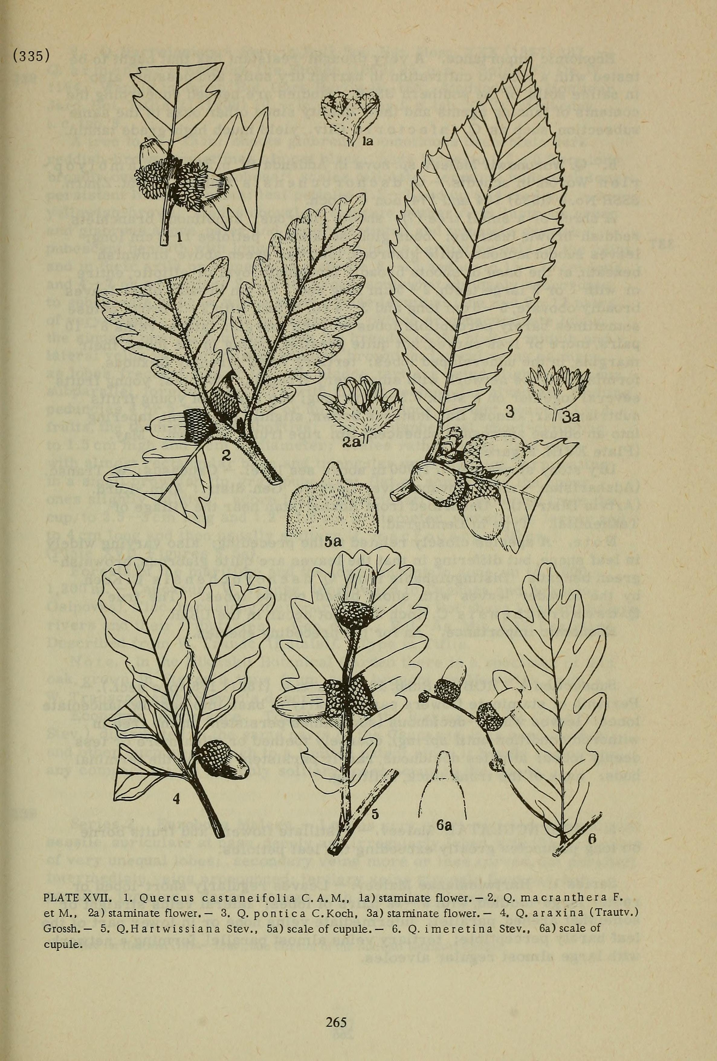 no full size  illustration available (3a)