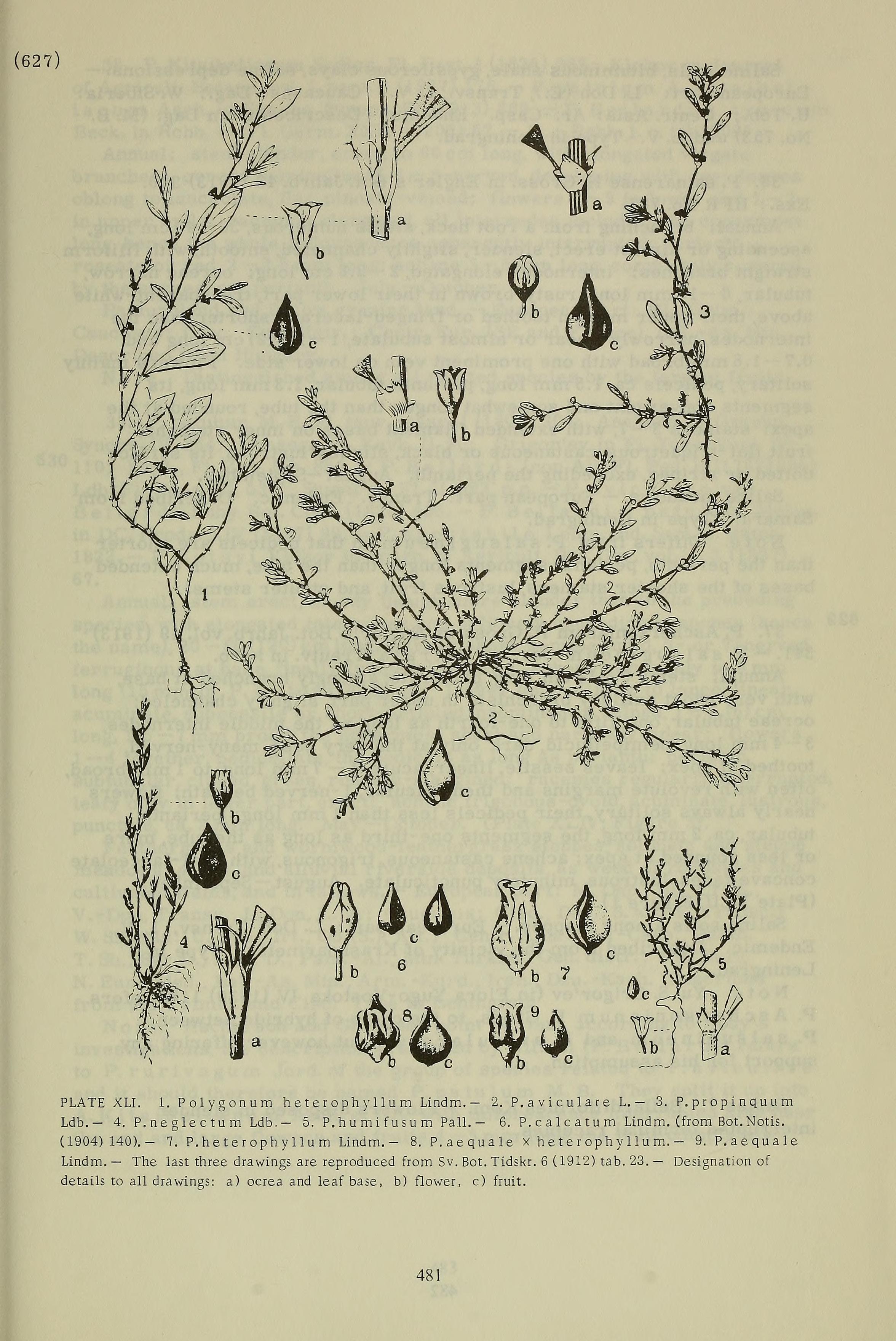 no full size  illustration available (3a)