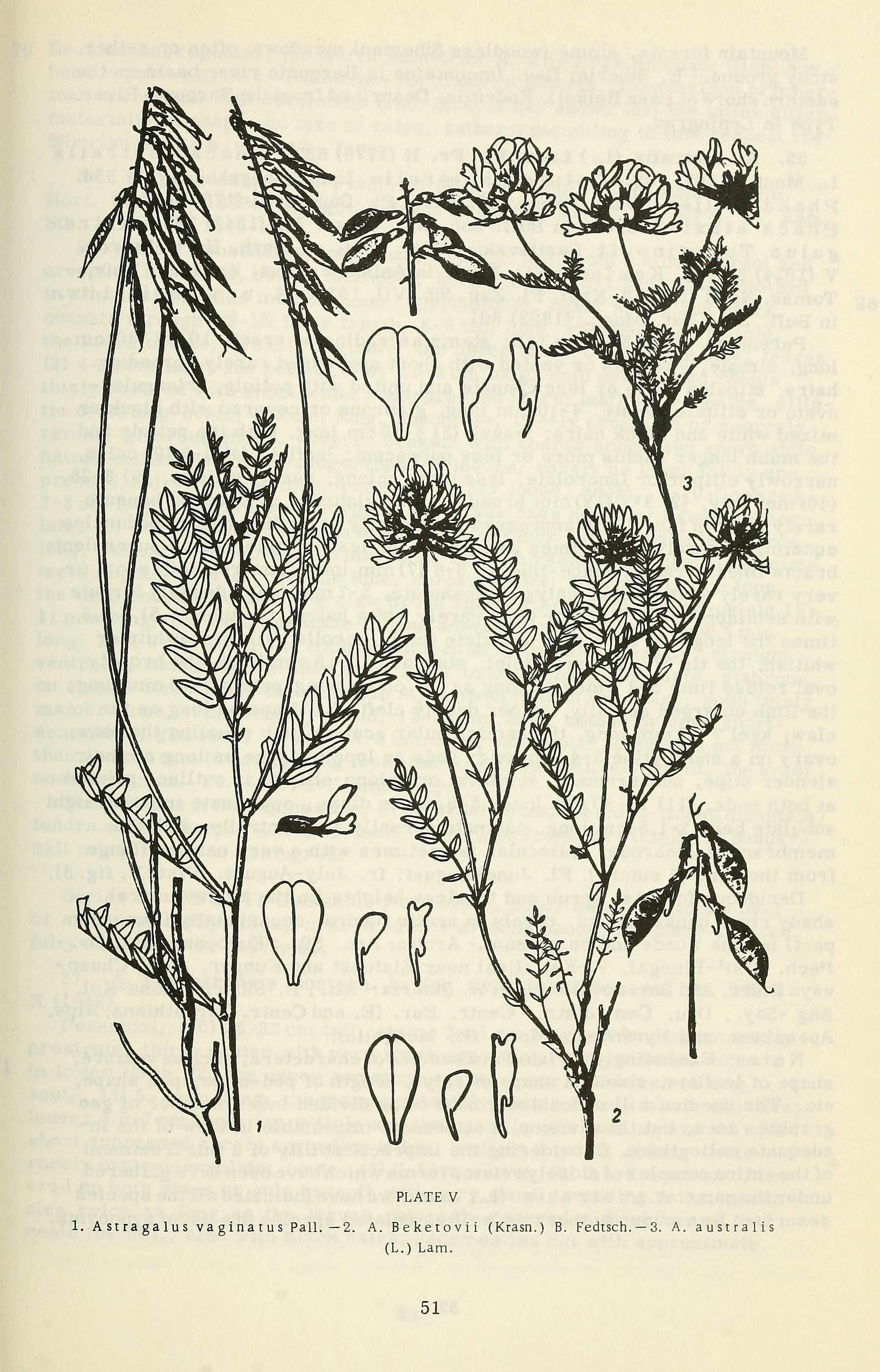 no full size  illustration available (3a)