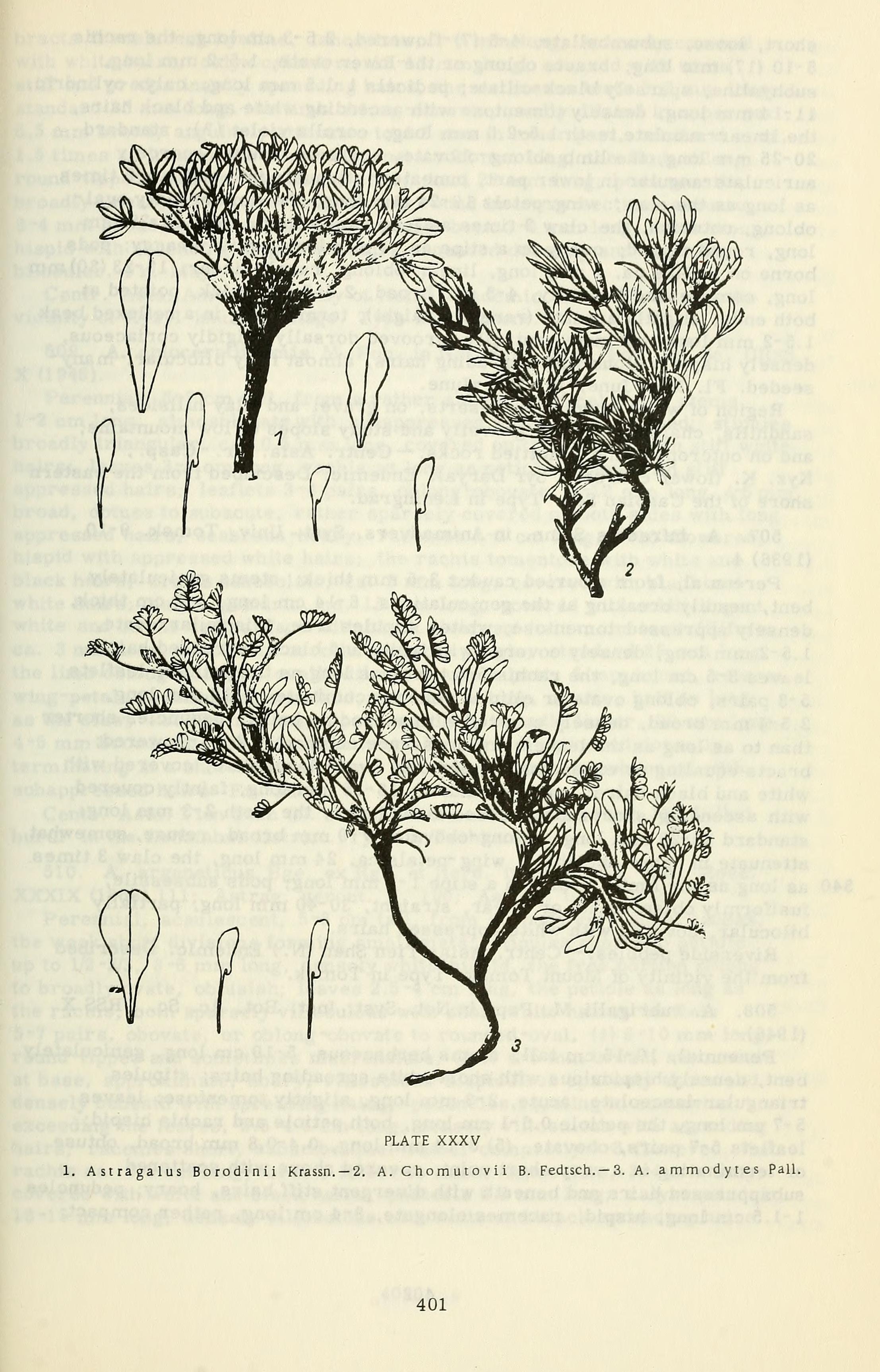 no full size  illustration available (3a)