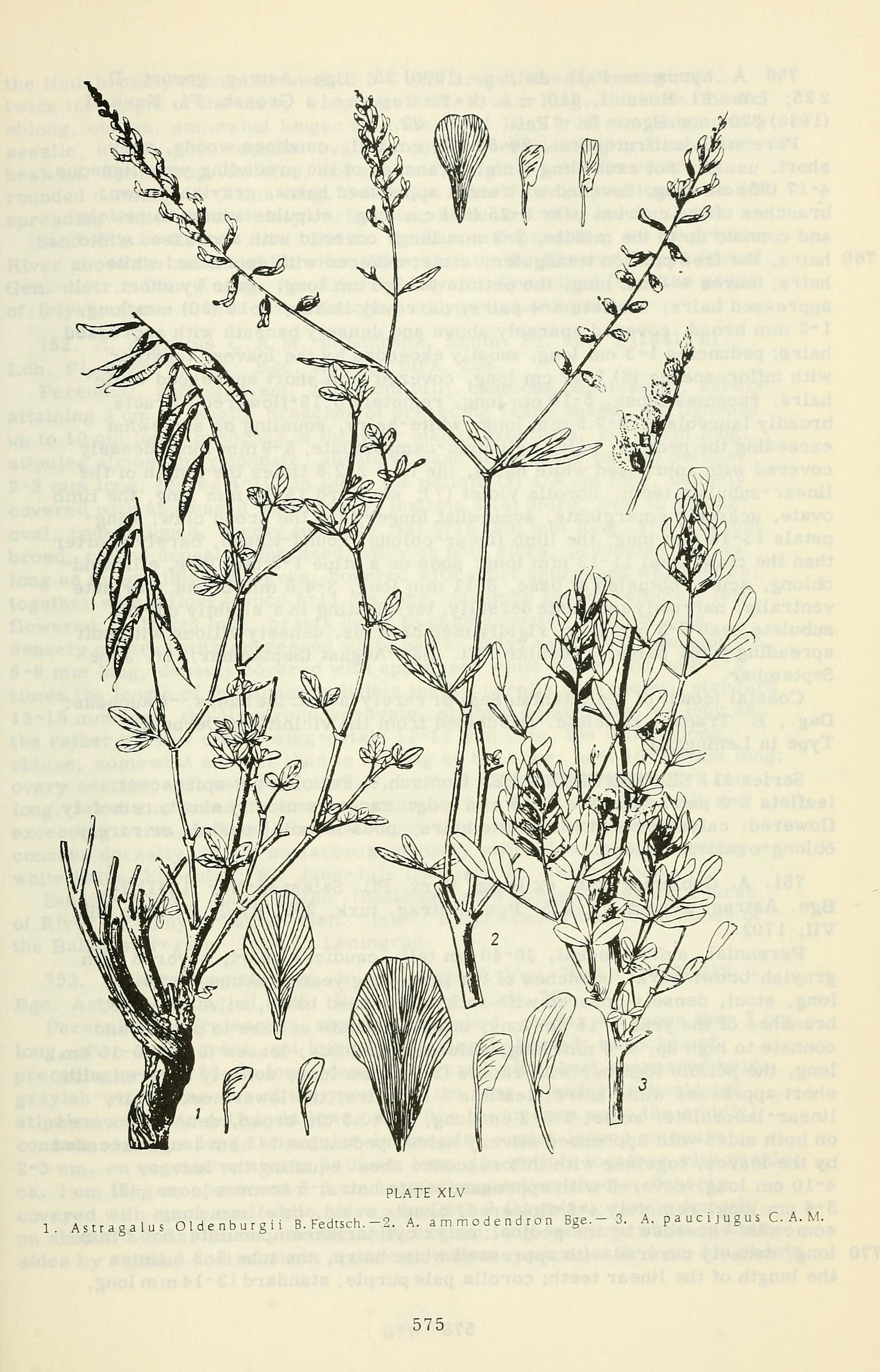 no full size  illustration available (3a)