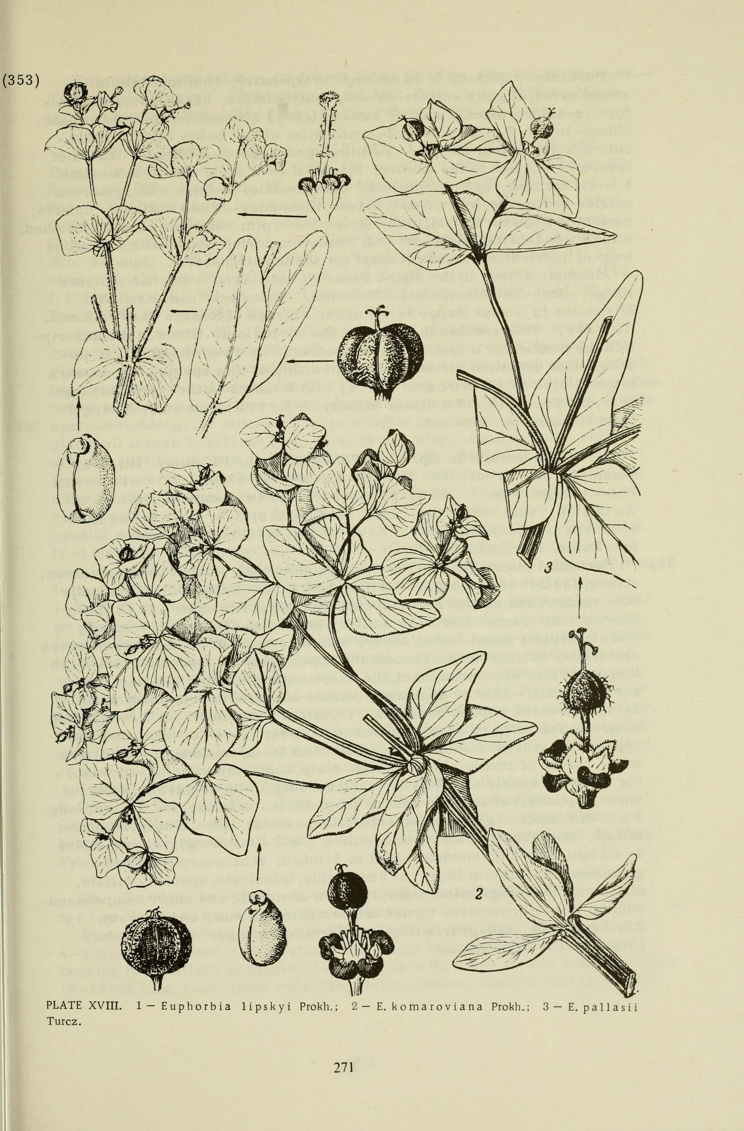 no full size  illustration available (3a)