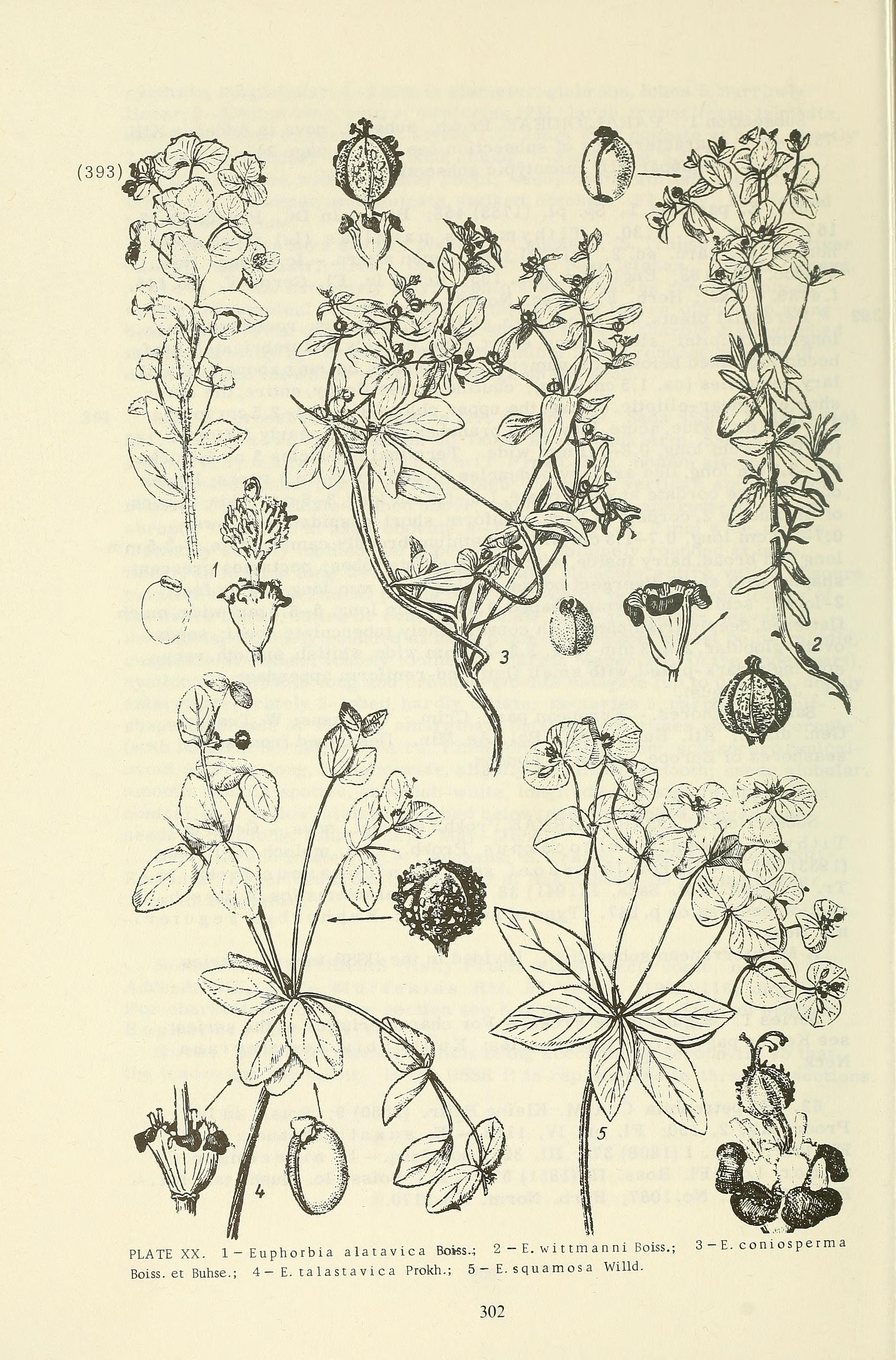 no full size  illustration available (3a)