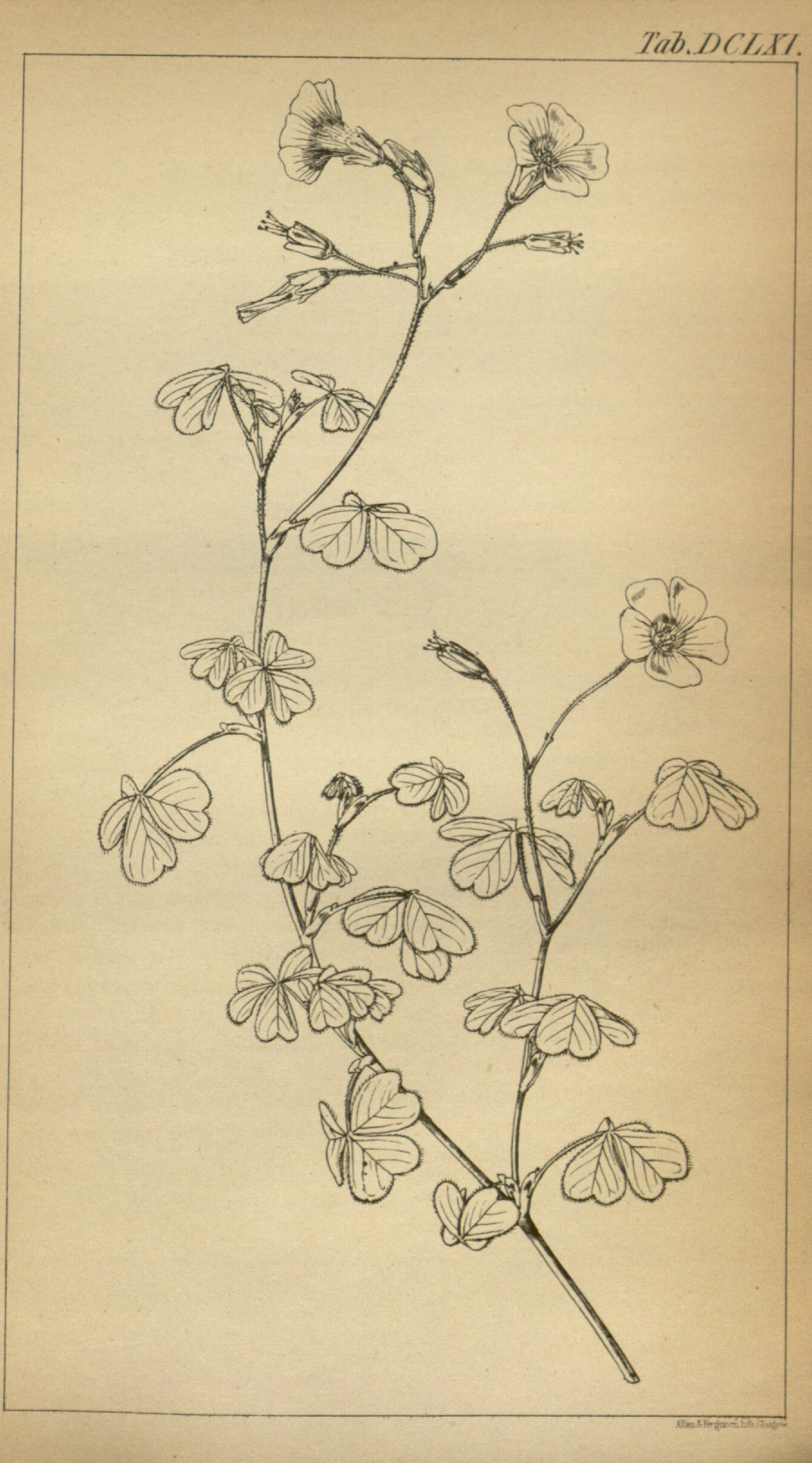 no full size  illustration available (3a)