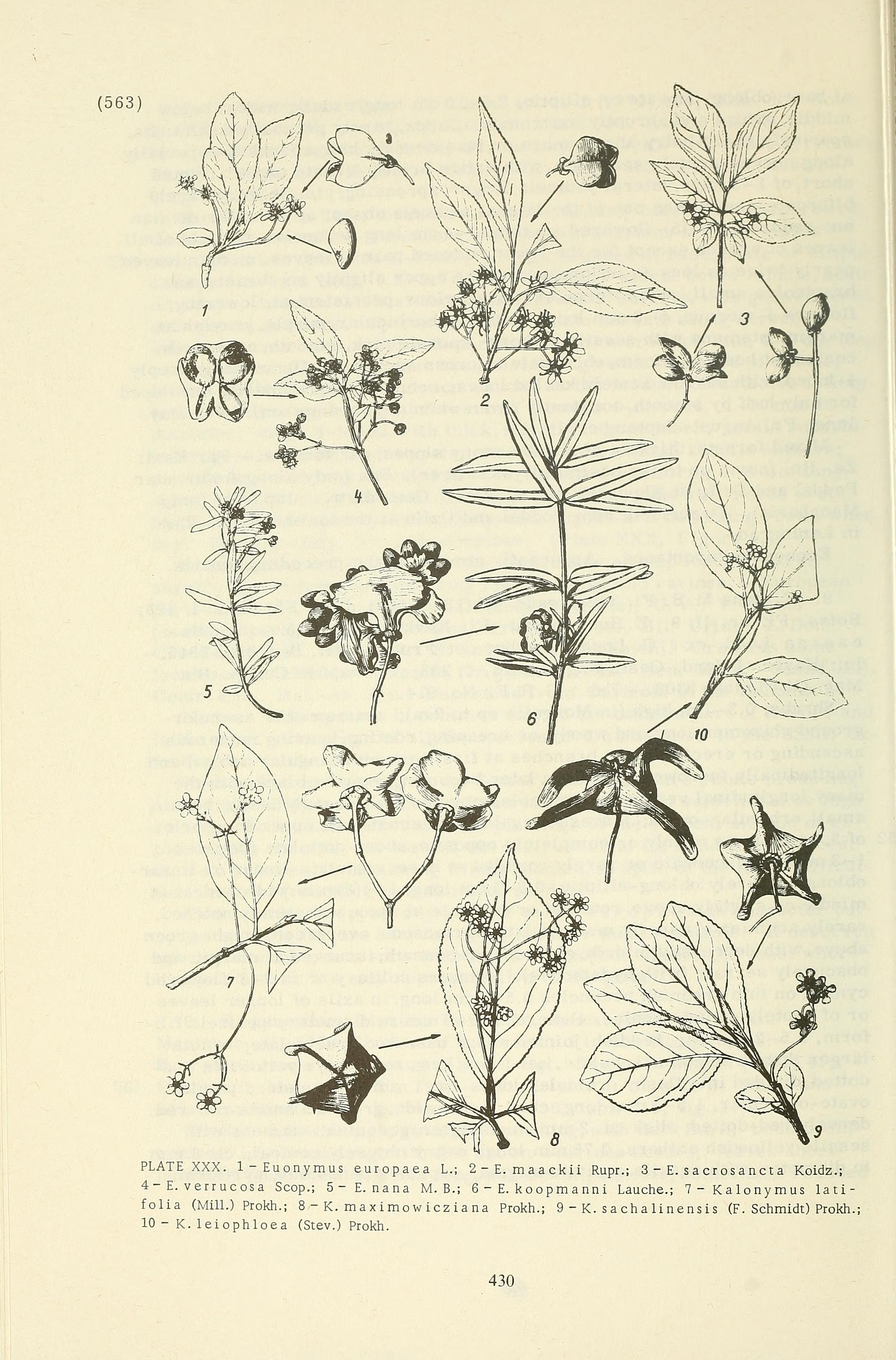 no full size  illustration available (3a)