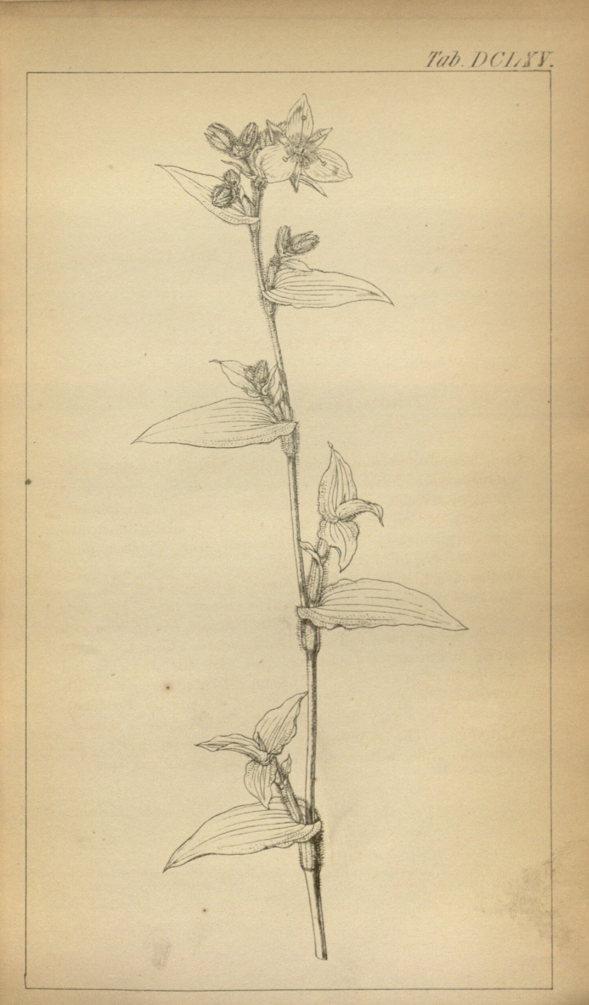 no full size  illustration available (3a)