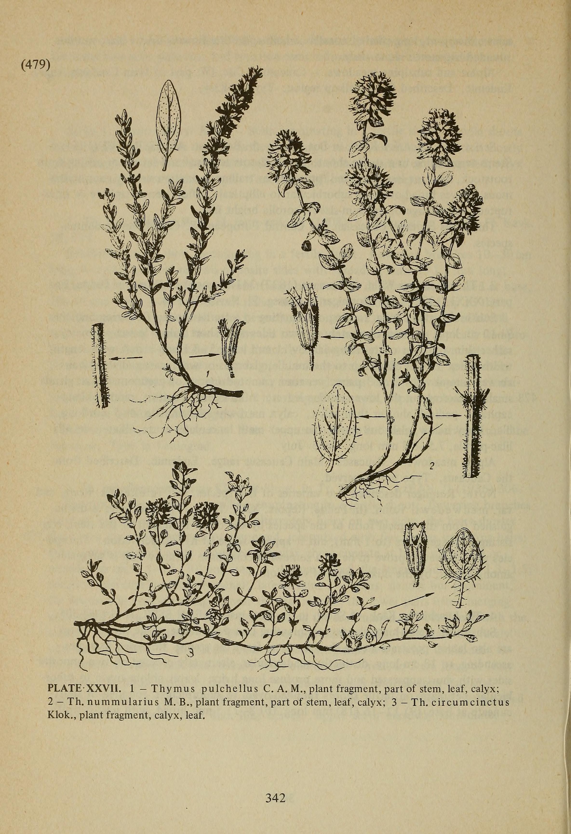 no full size  illustration available (3a)