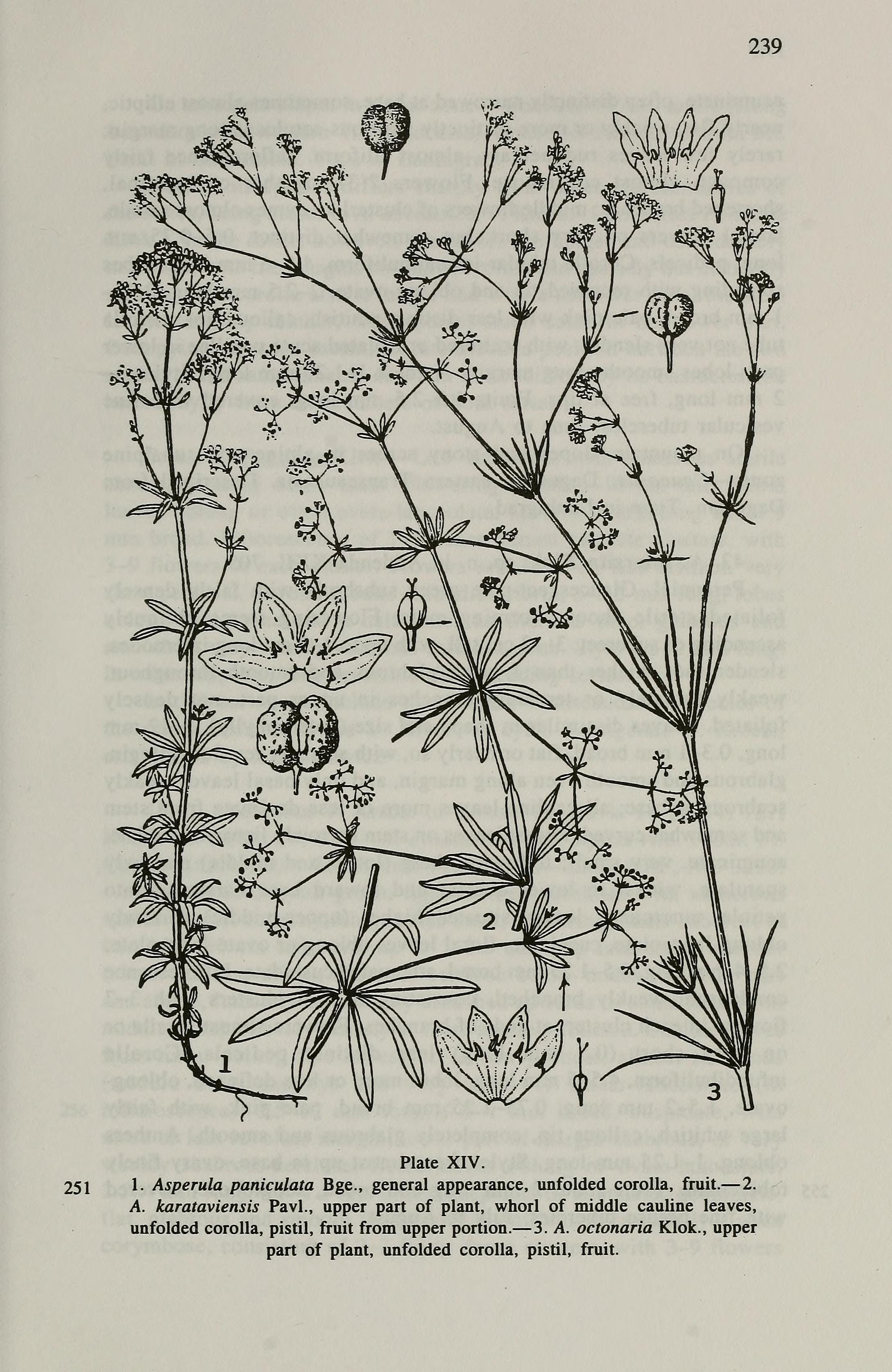 no full size  illustration available (3a)