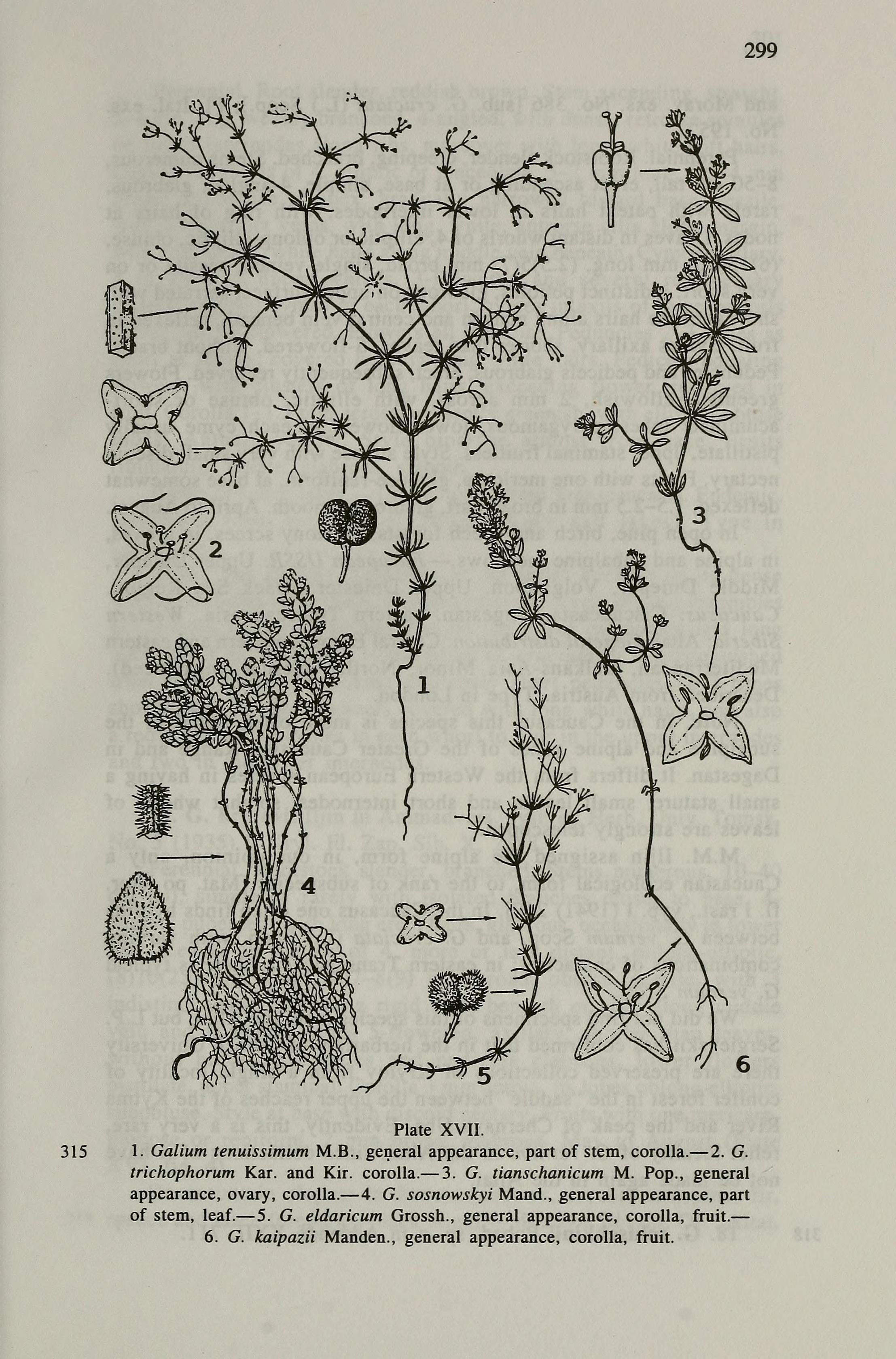 no full size  illustration available (3a)