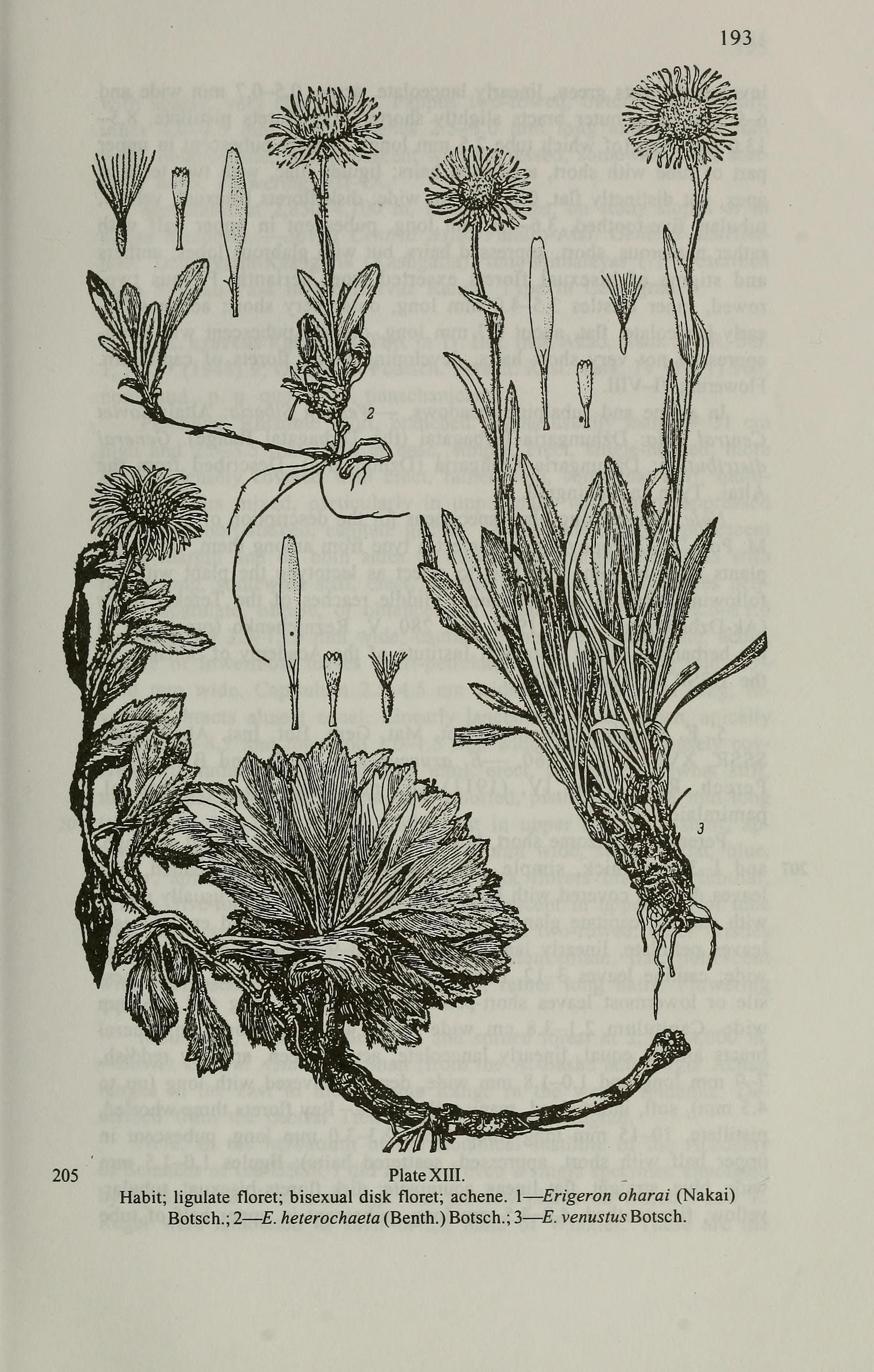 no full size  illustration available (3a)