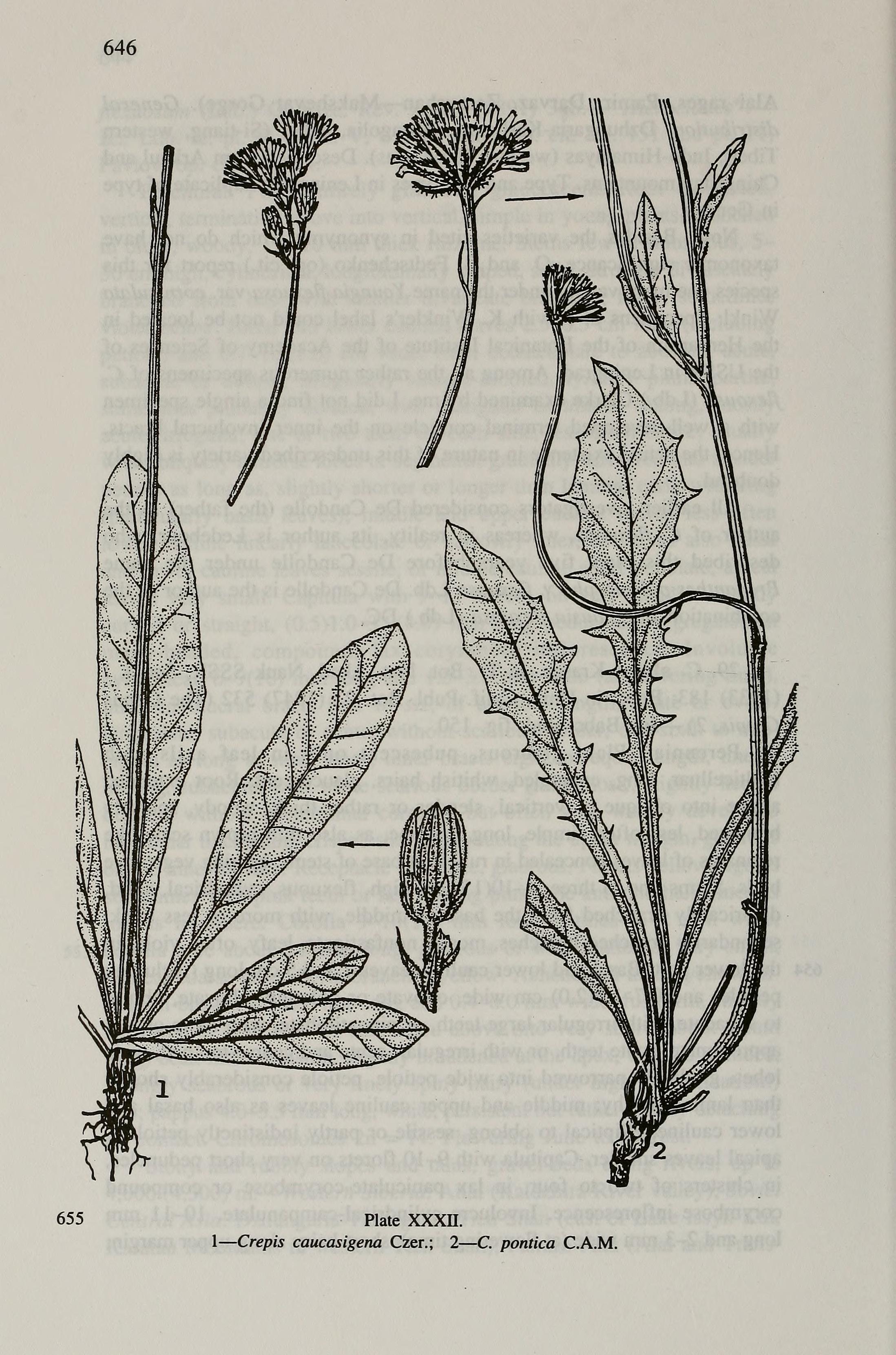 no full size  illustration available (3a)