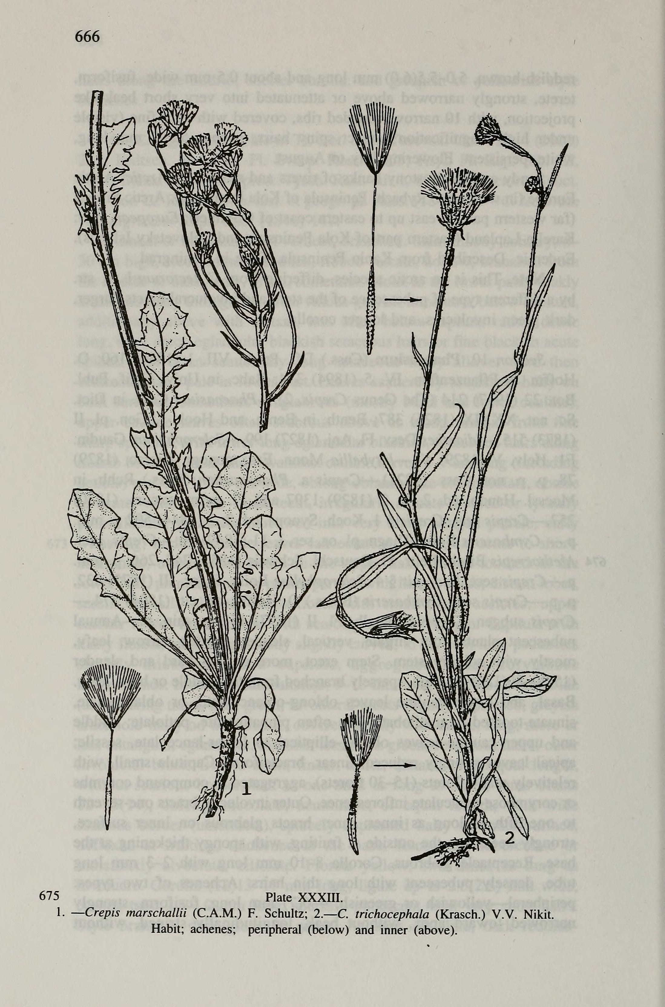 no full size  illustration available (3a)