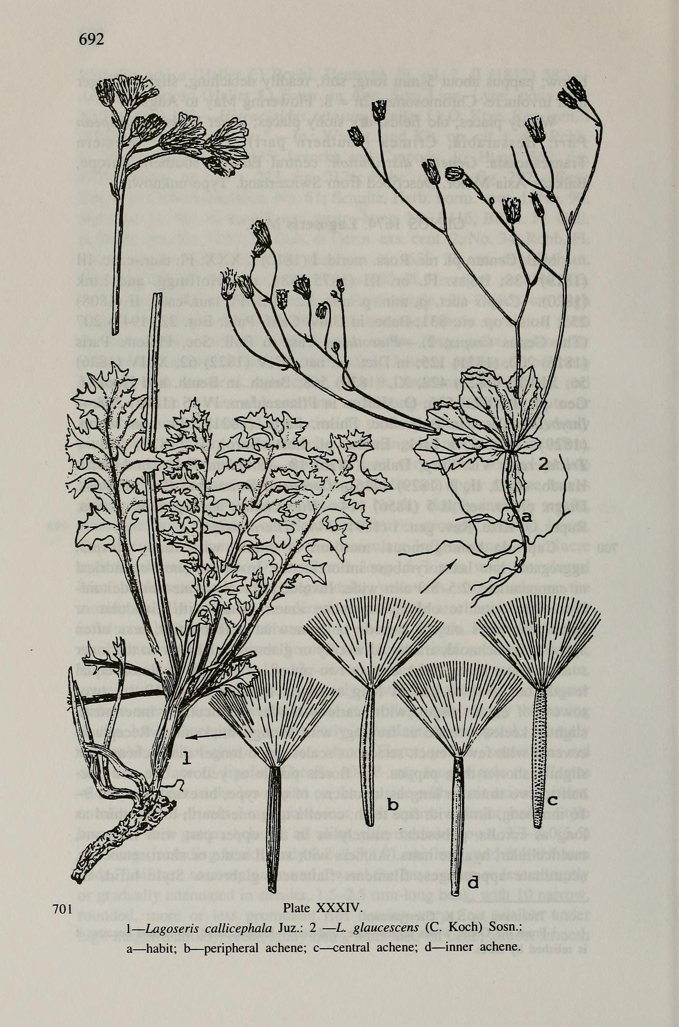 no full size  illustration available (3a)