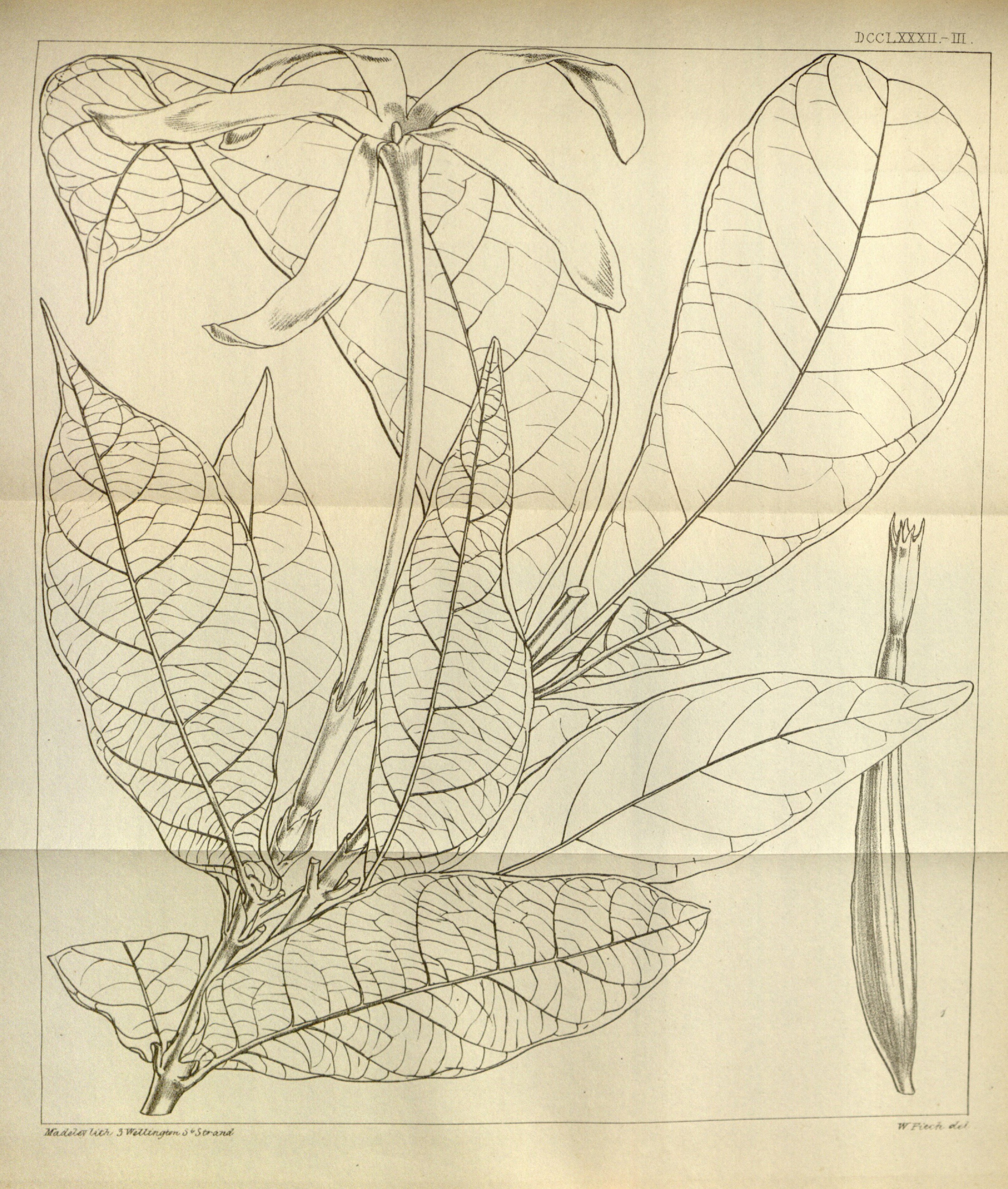 no full size  illustration available (3a)