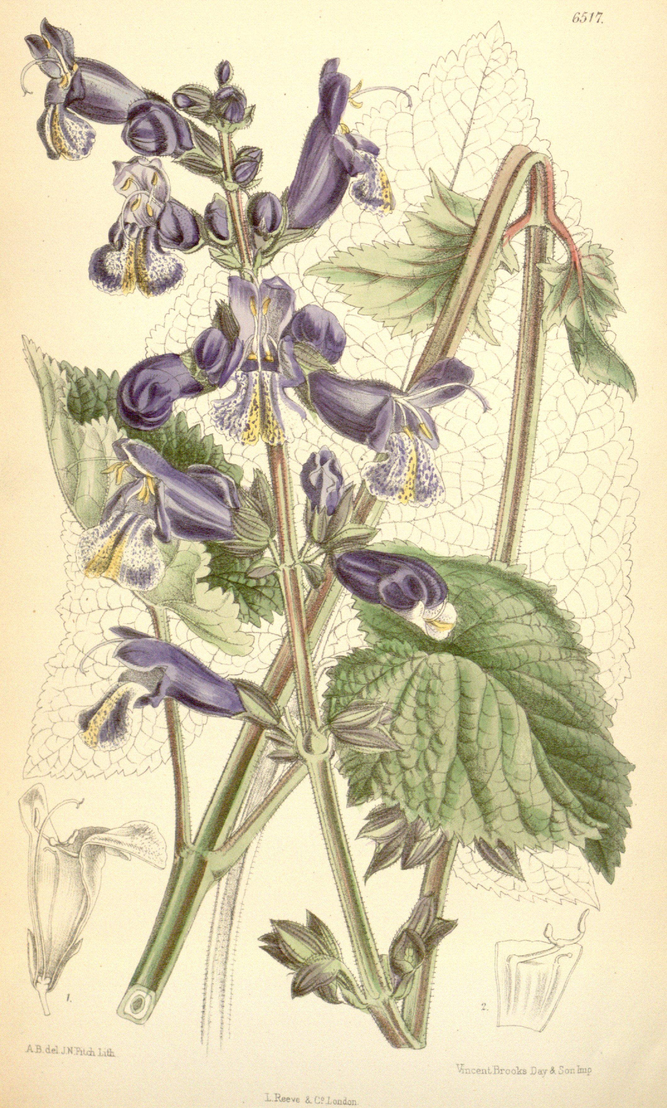 no full size  illustration available (3a)