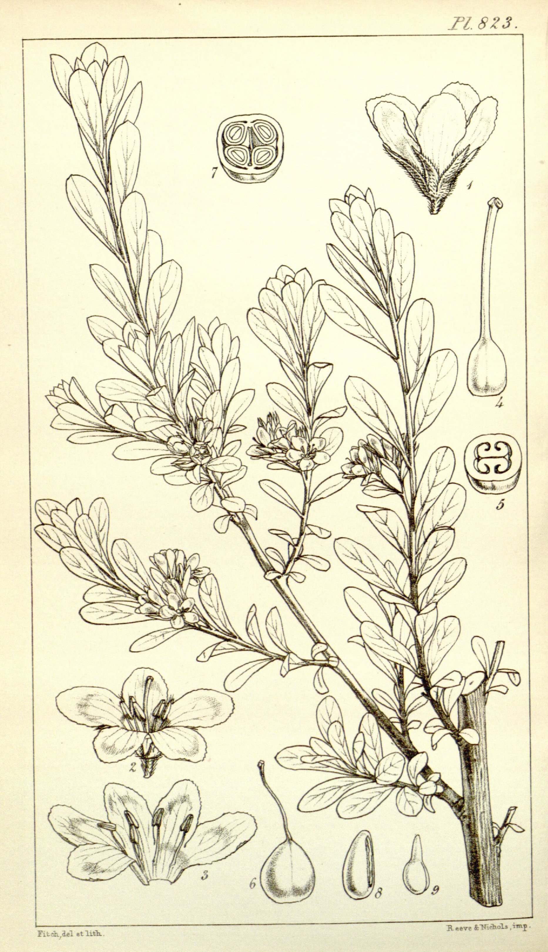 no full size  illustration available (3a)