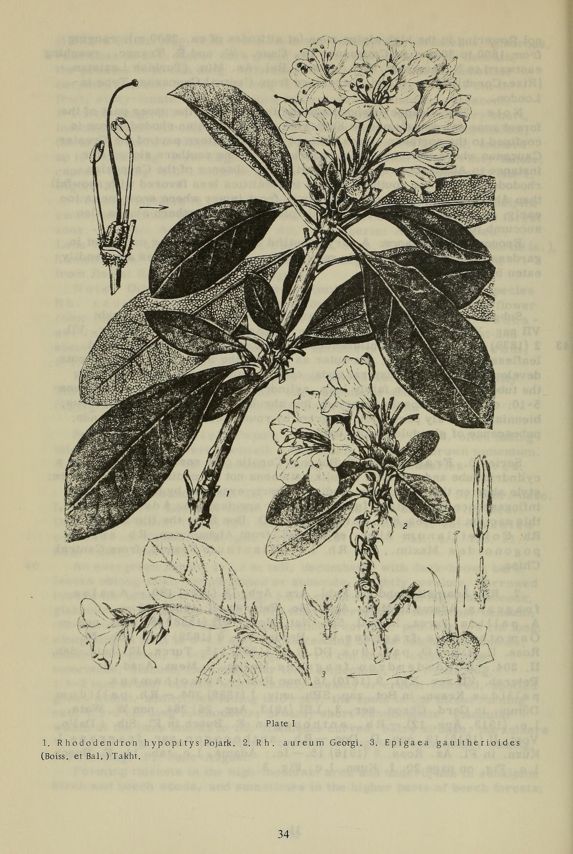 no full size  illustration available (3a)