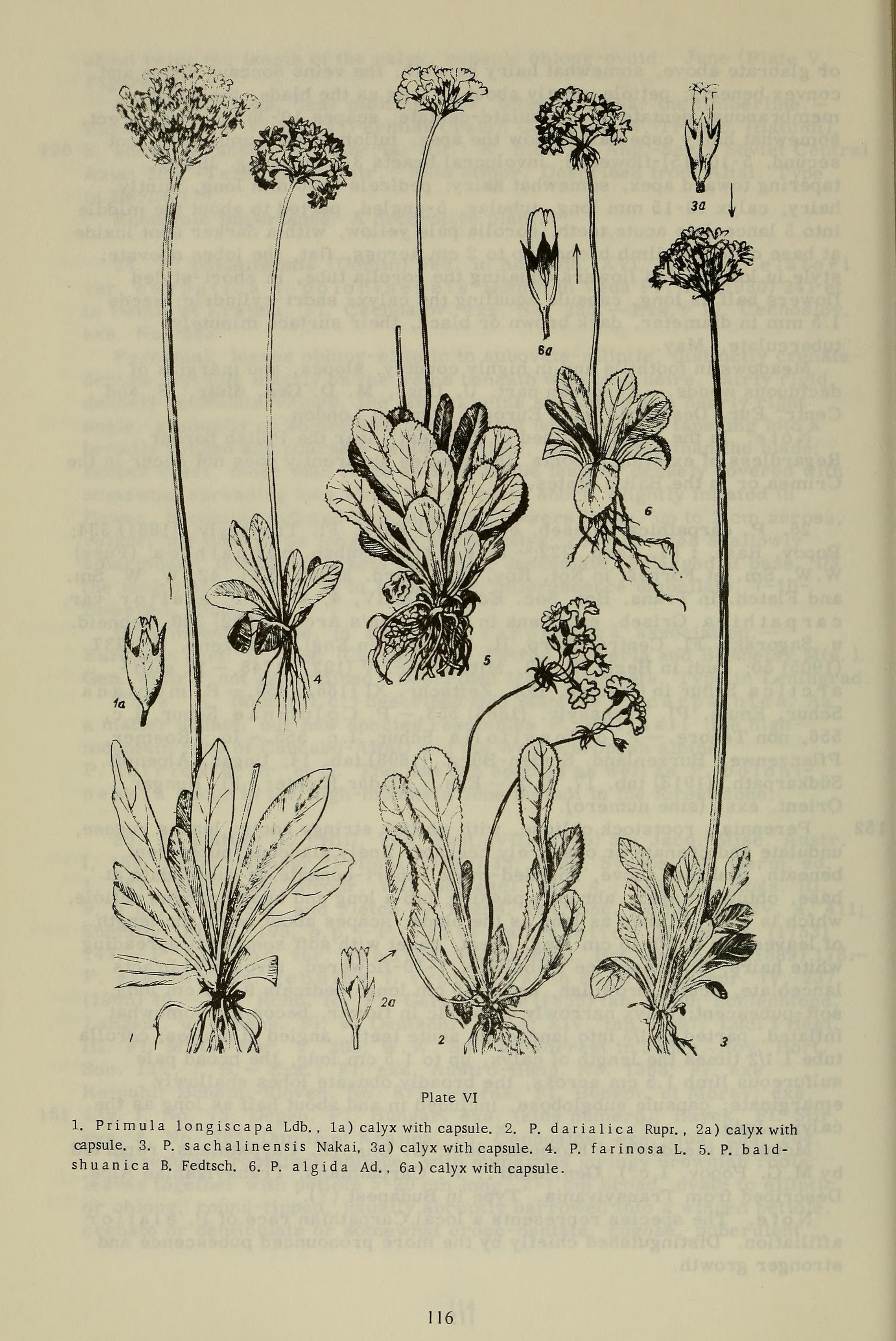 no full size  illustration available (3a)