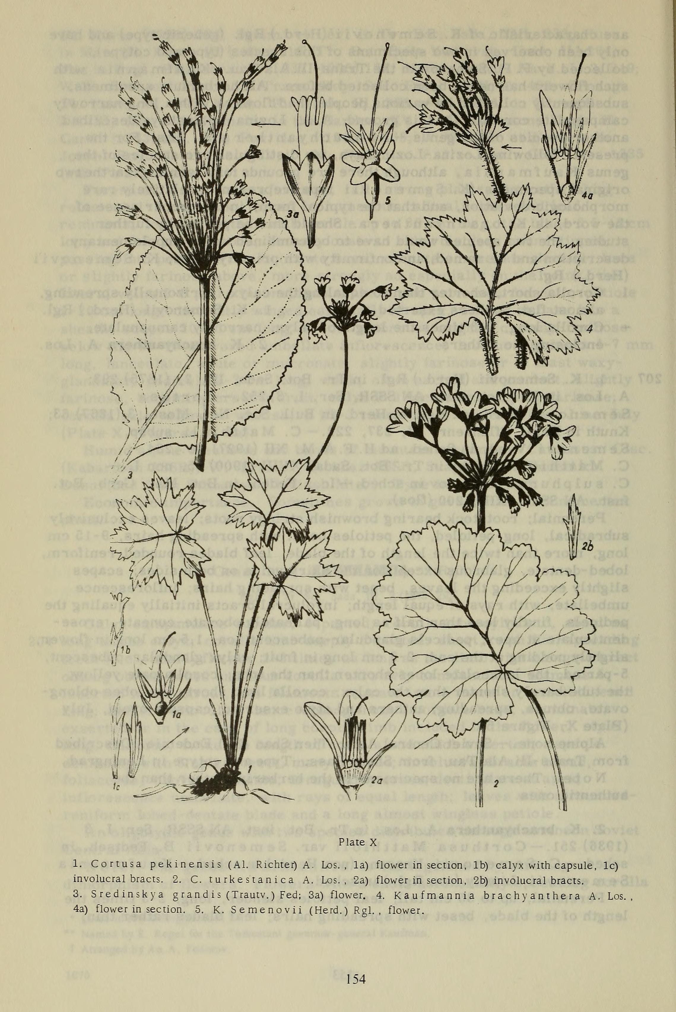 no full size  illustration available (3a)