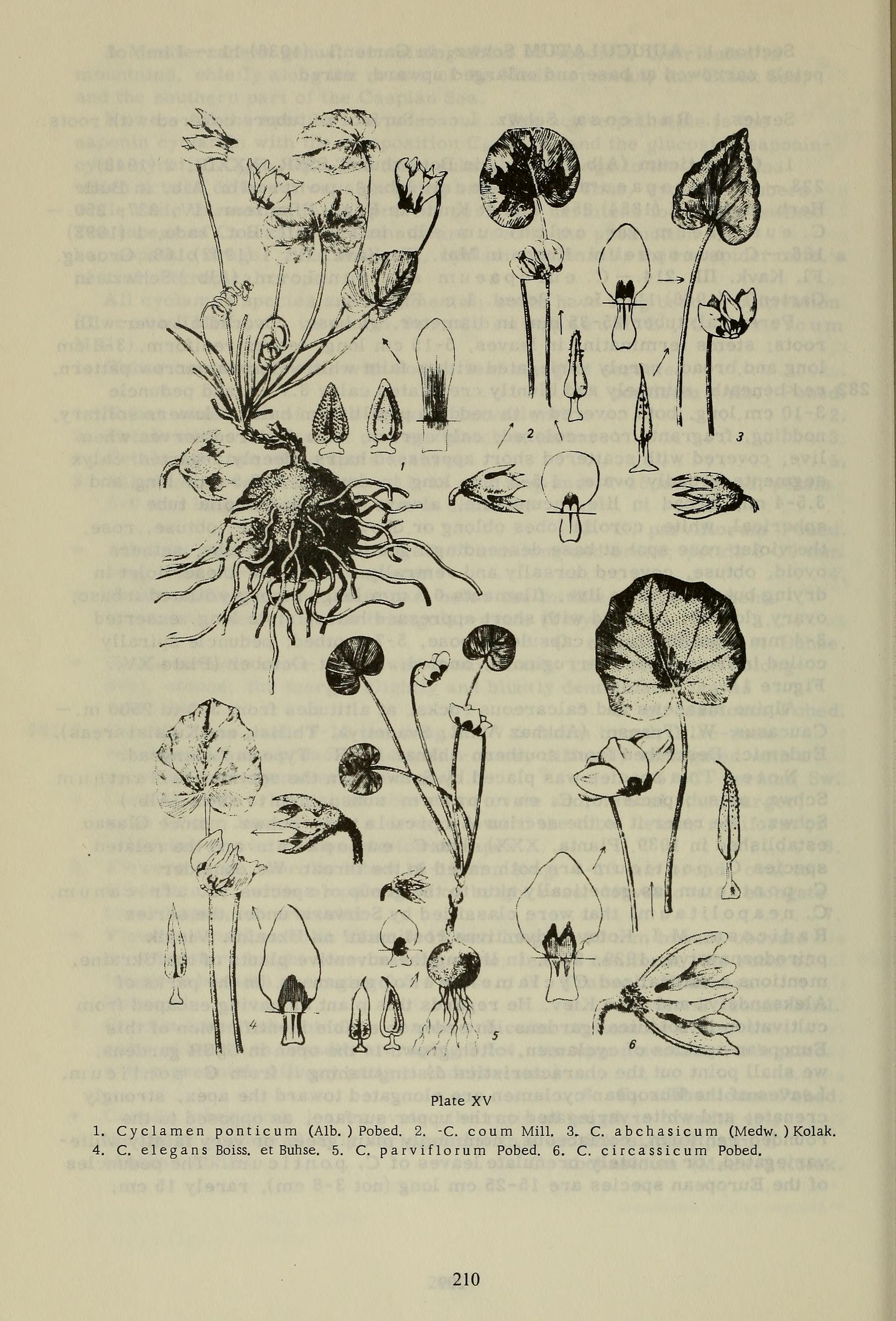 no full size  illustration available (3a)