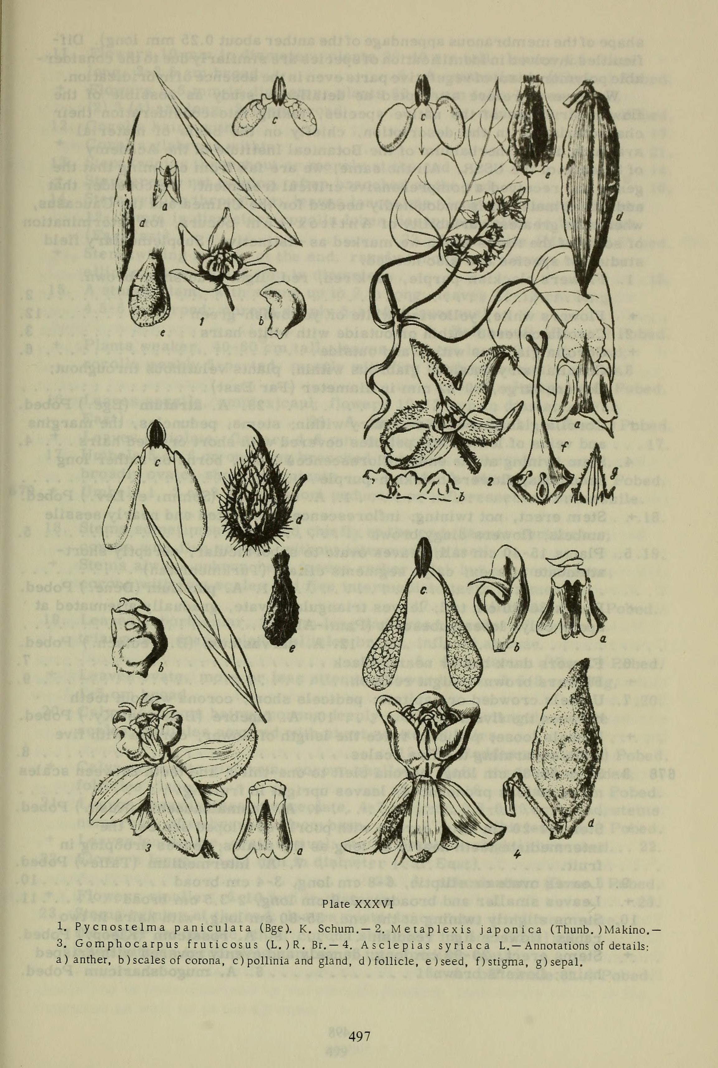 no full size  illustration available (3a)