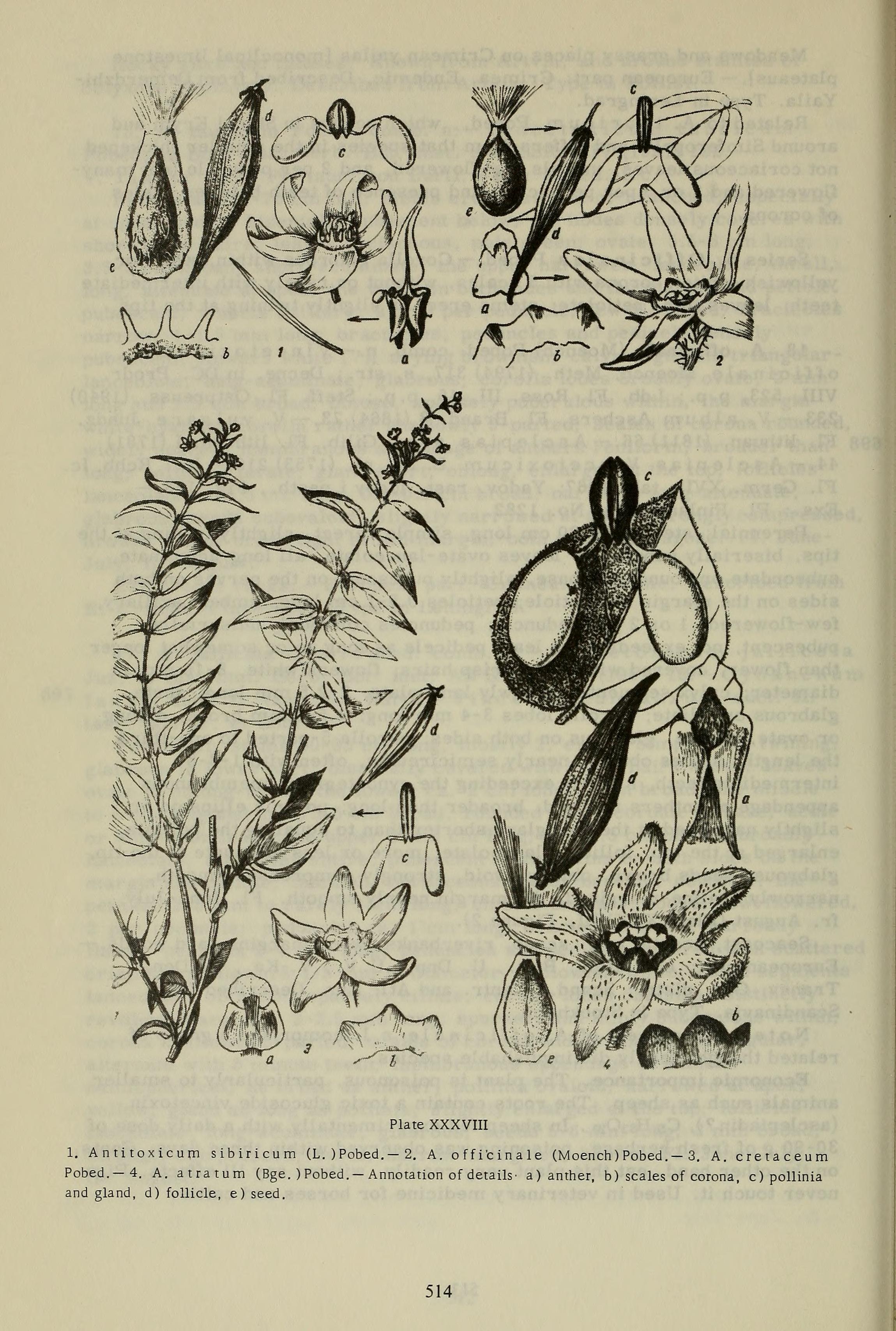 no full size  illustration available (3a)