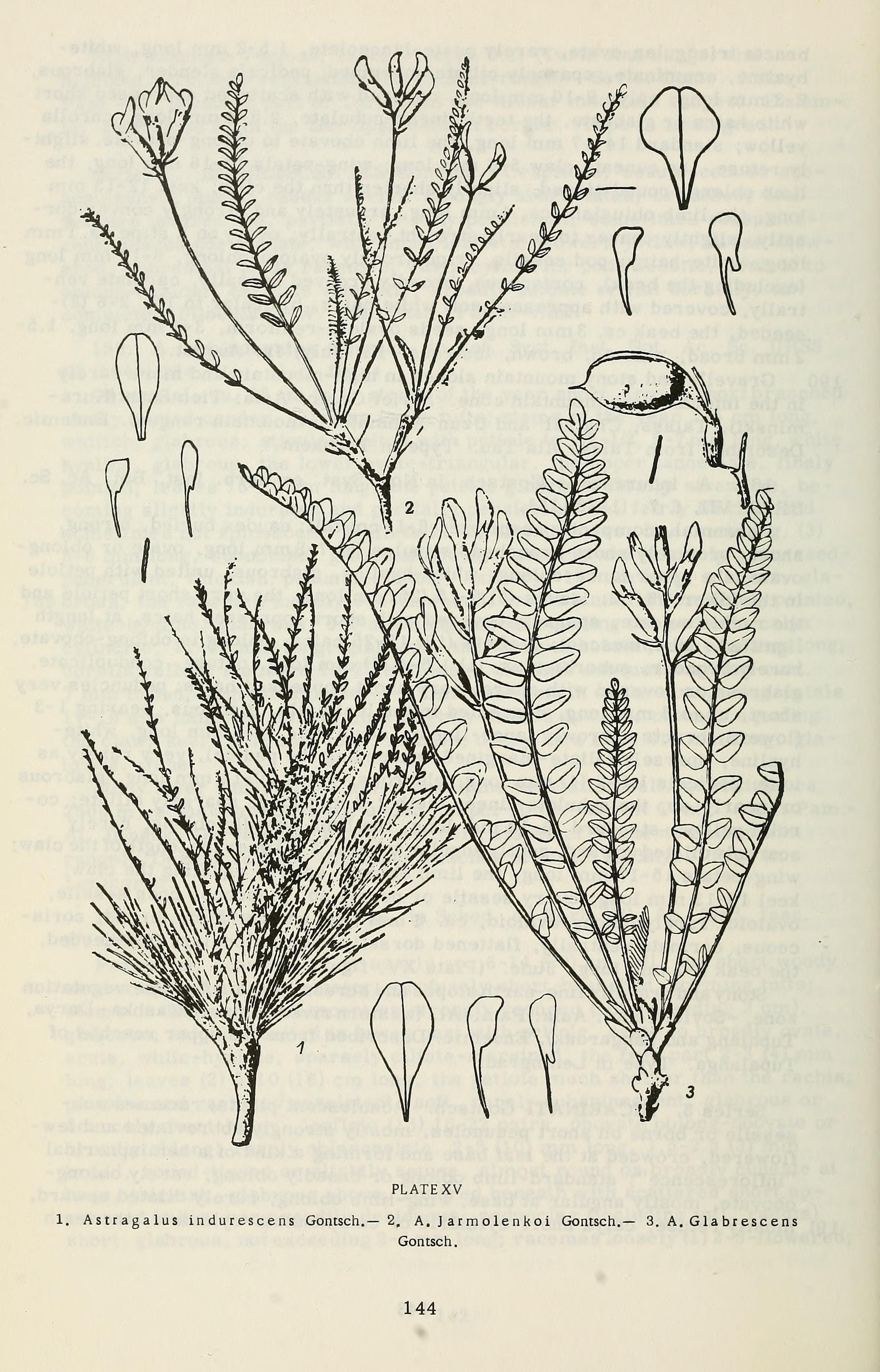 no full size  illustration available (3a)