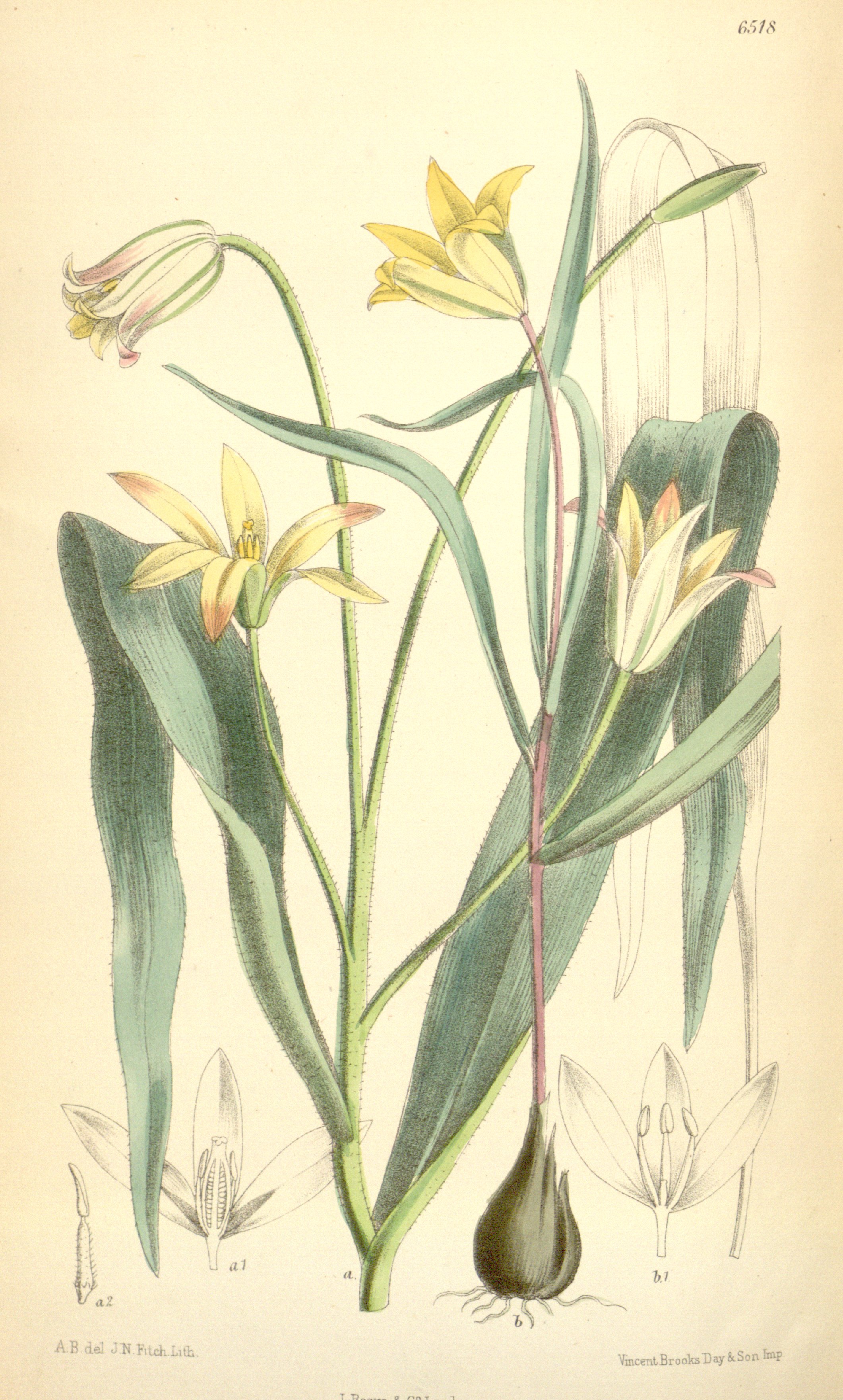 no full size  illustration available (3a)