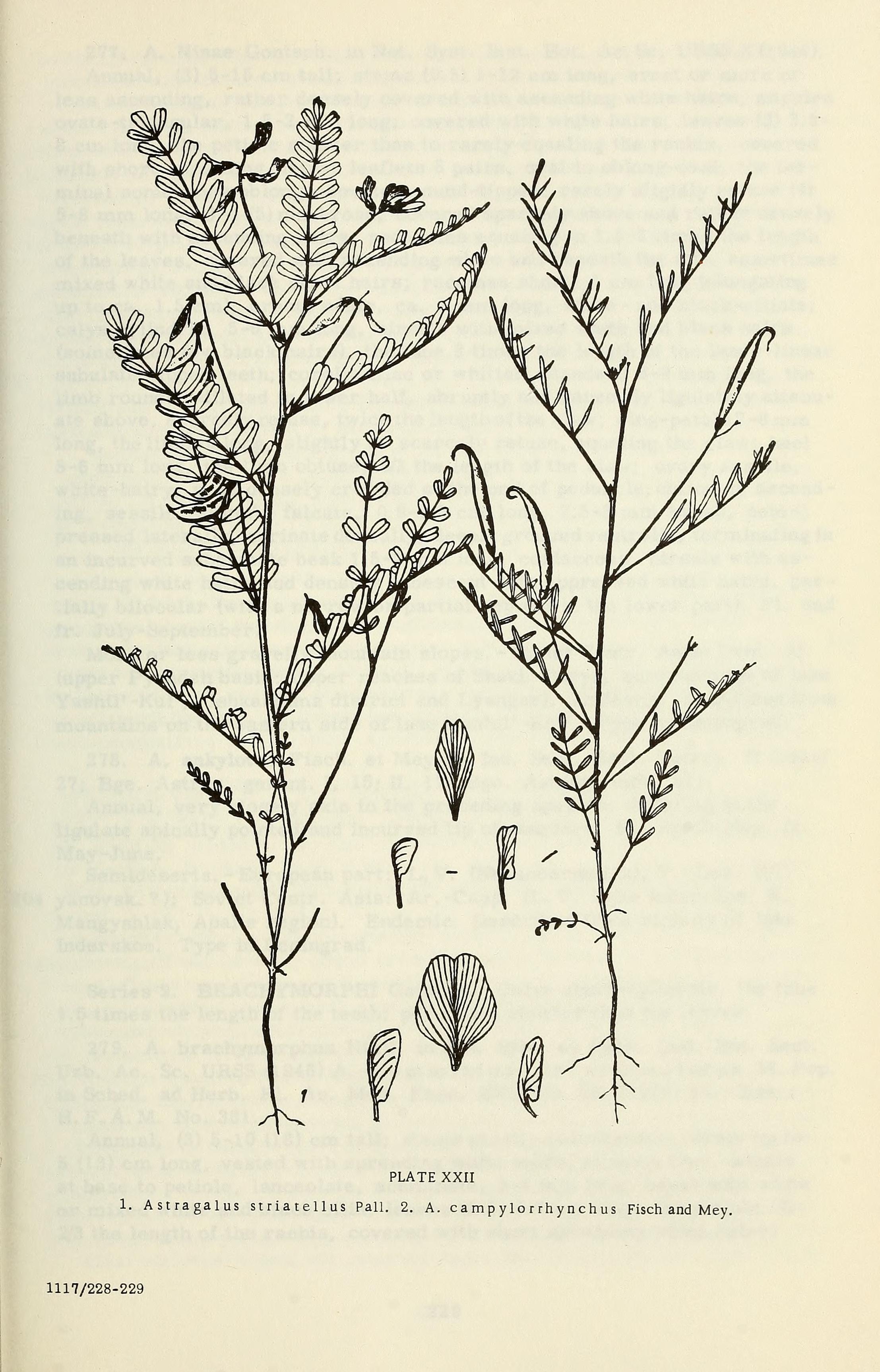 no full size  illustration available (3a)