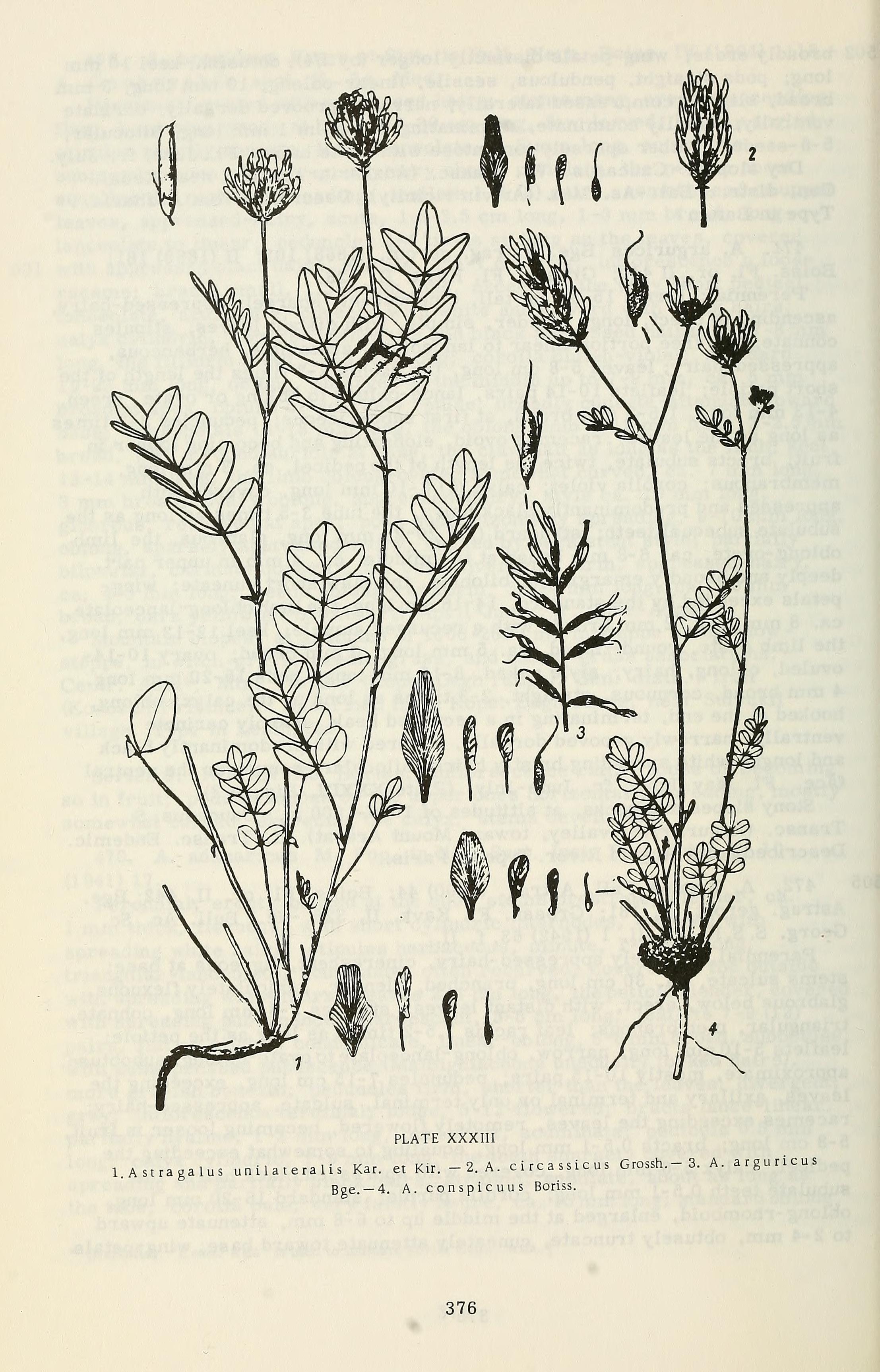 no full size  illustration available (3a)